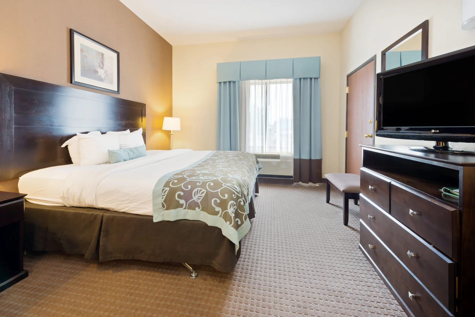 1 Queen Bed ADA Room