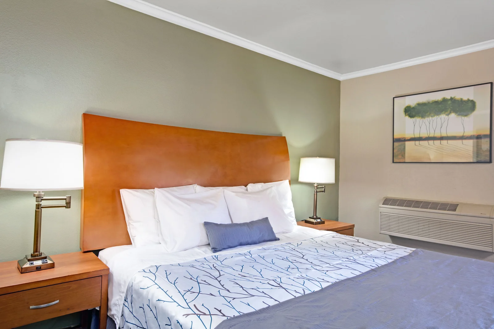 1 King Bed Room