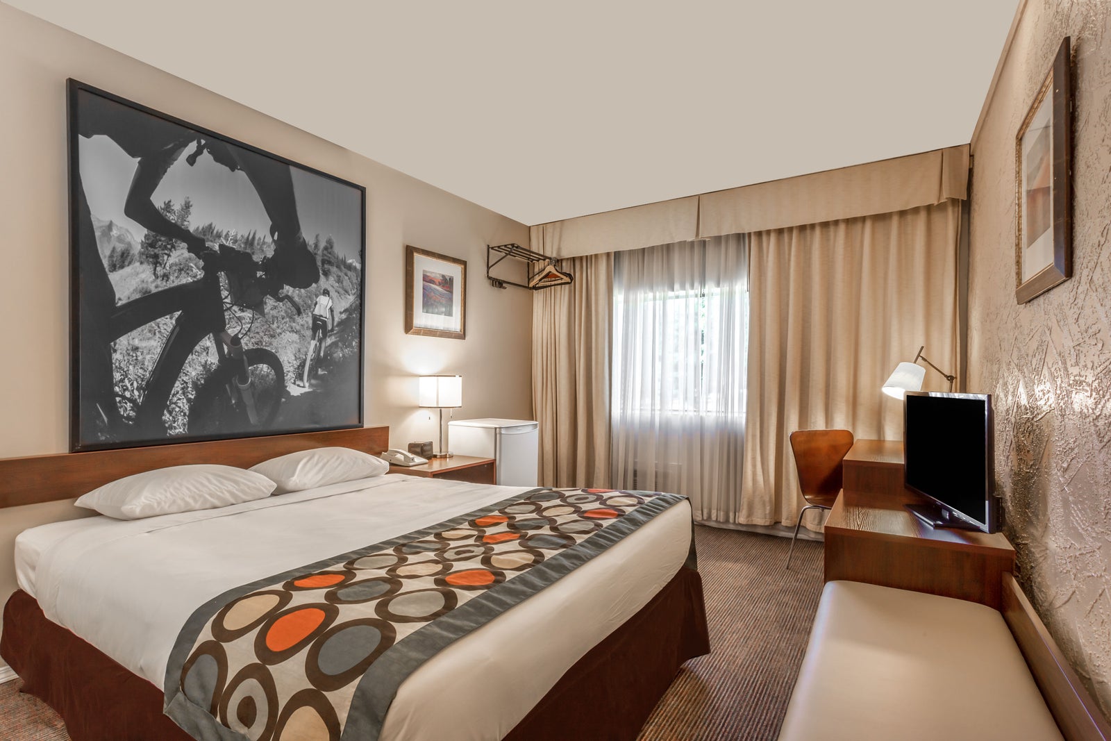 1 Queen Bed Room