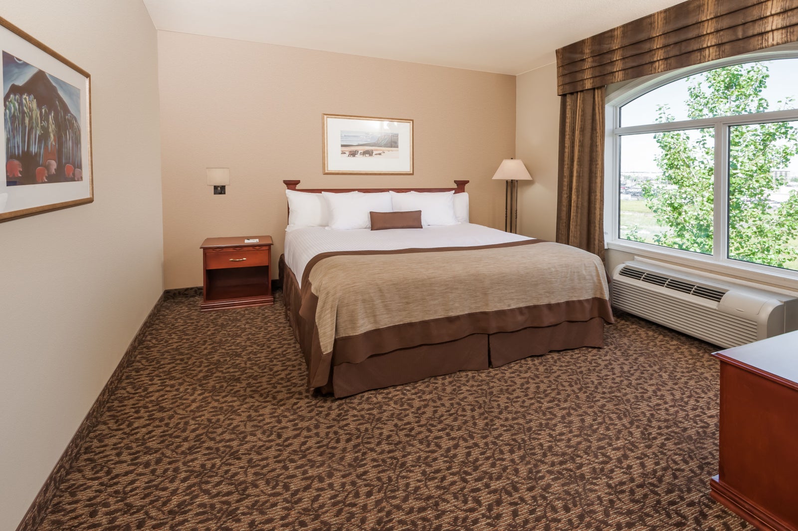 1 Queen Bed Room