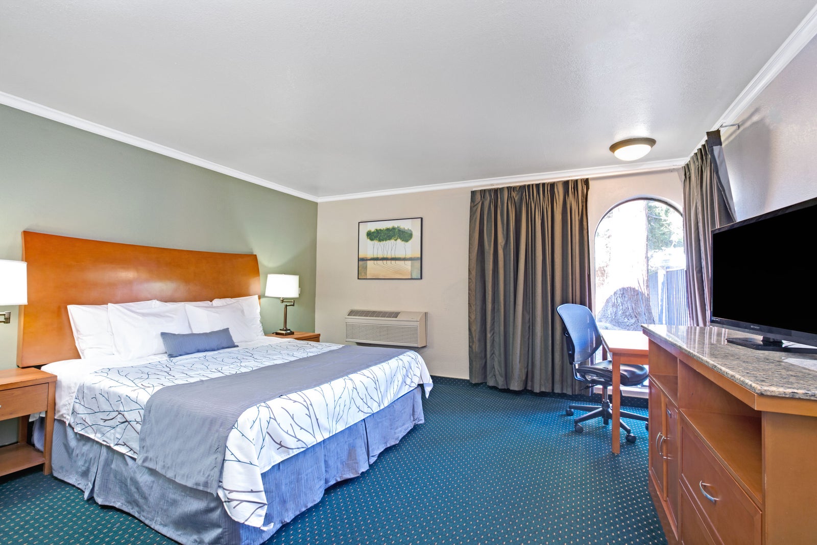 1 King Accessible Bed Room