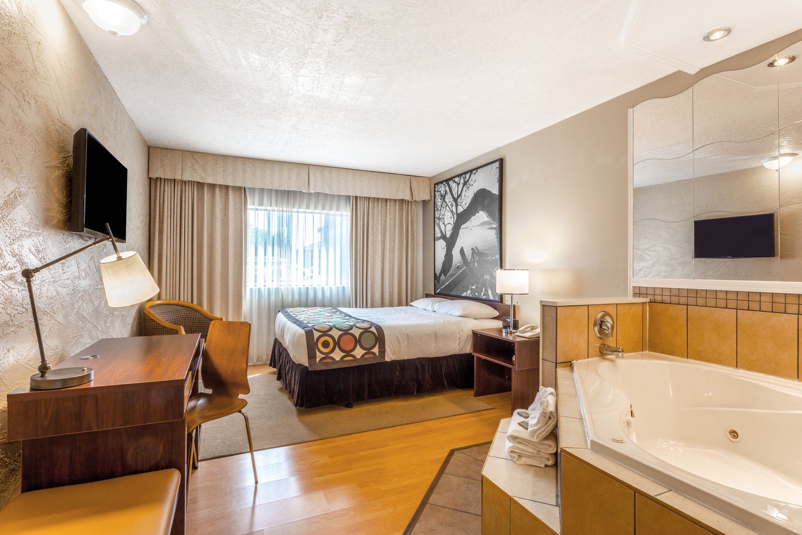 1 Queen Bed/Jacuzzi Suite