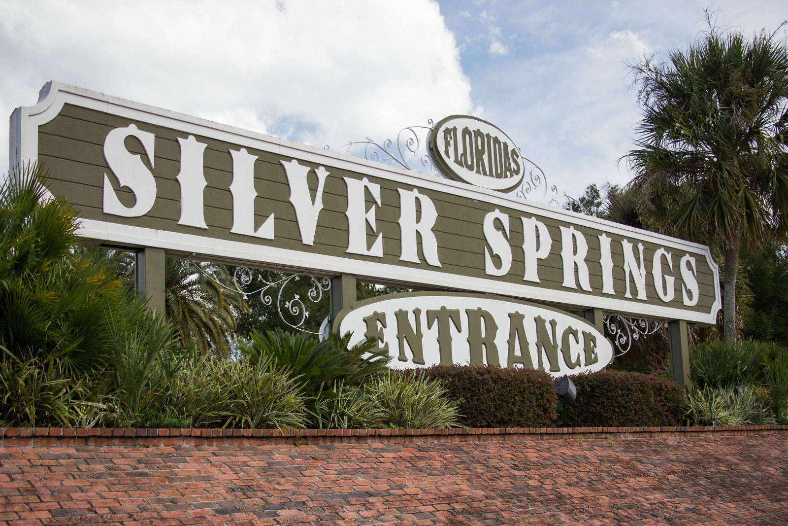 Silver Springs