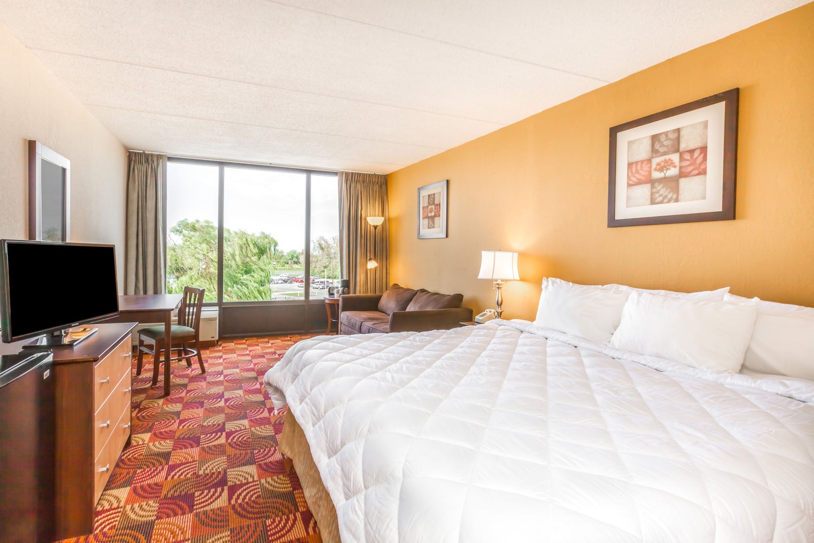 1 King Bed Suite