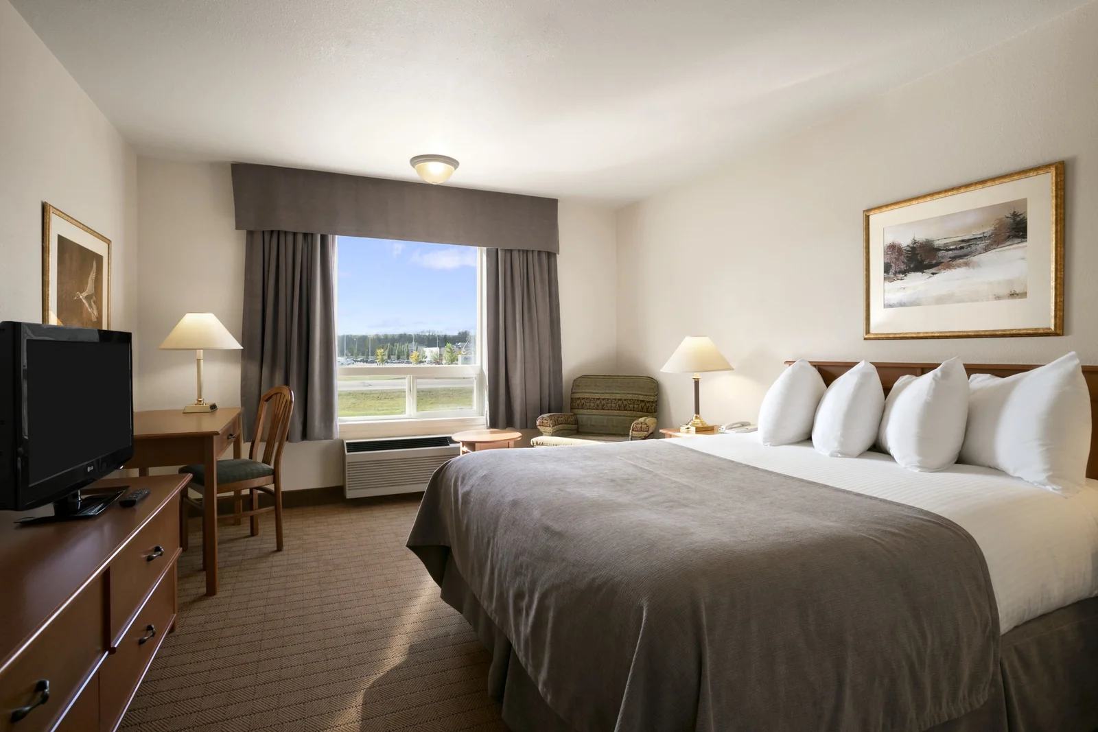 Standard Queen Bed Room