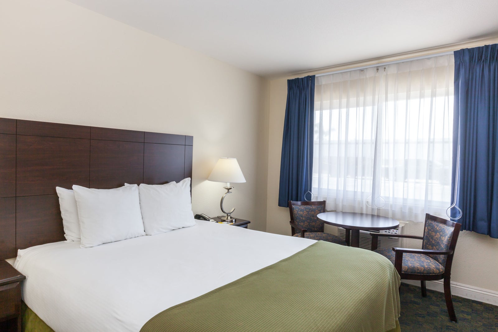 1 Queen Bed Room