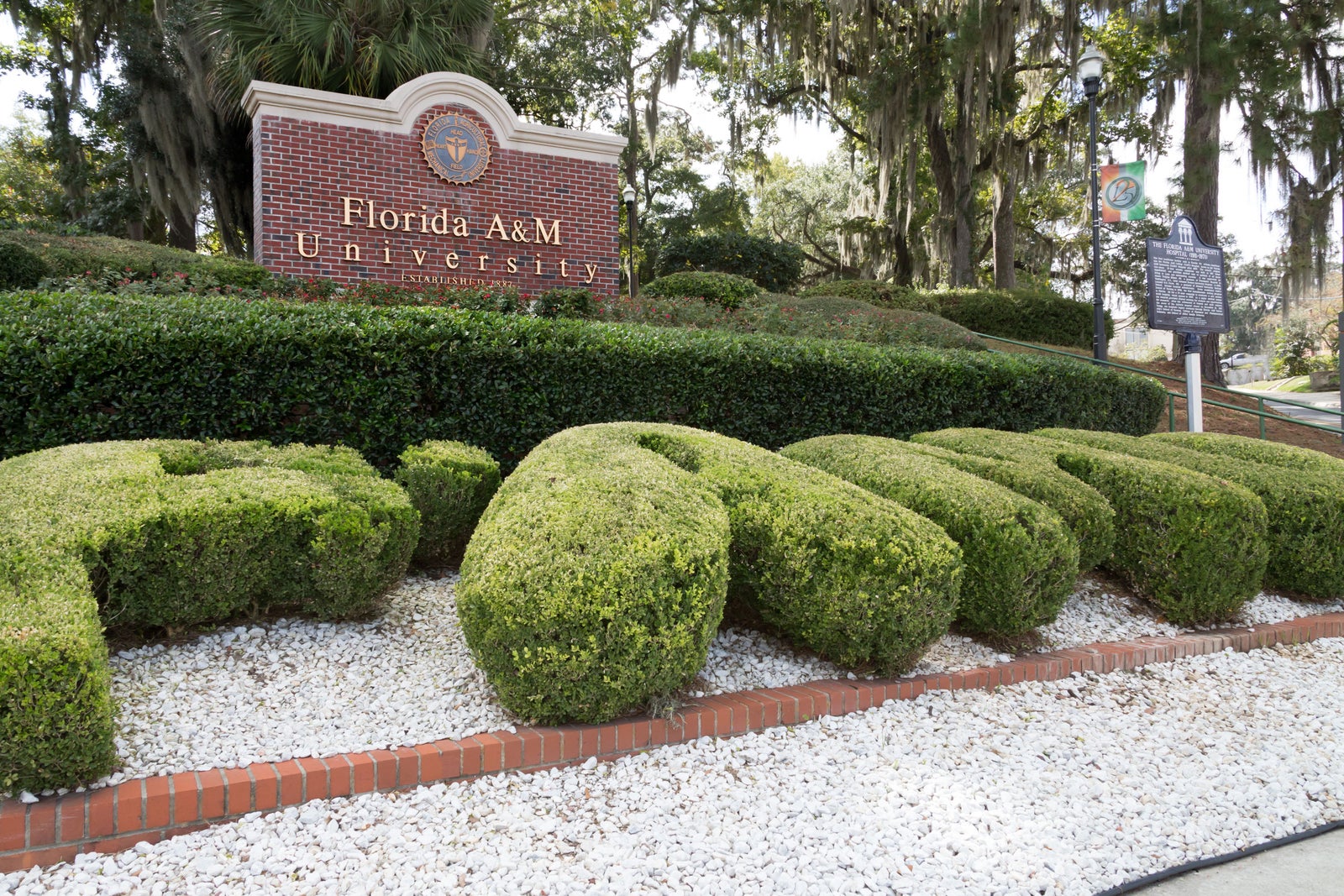 Florida A and M University