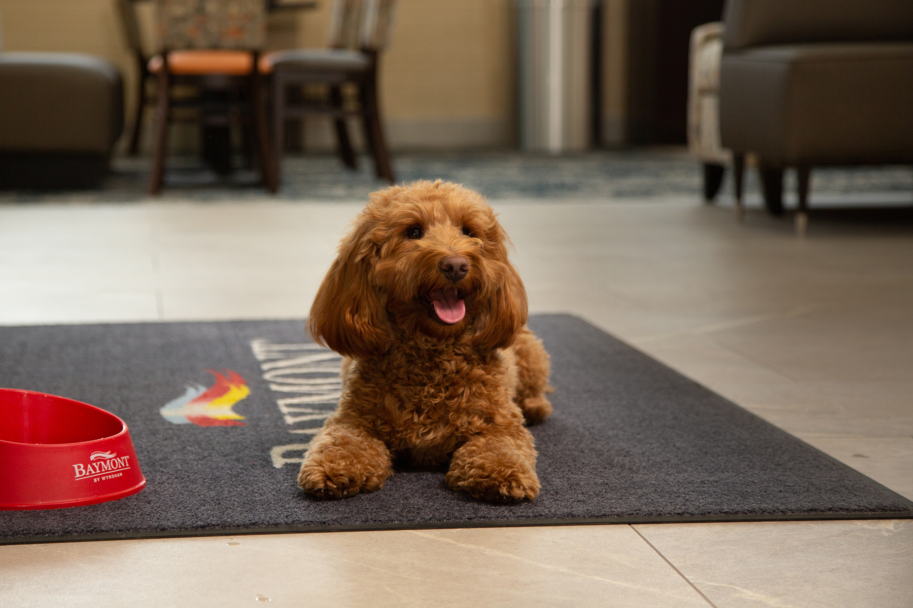 Is Baymont Inn Pet Friendly  