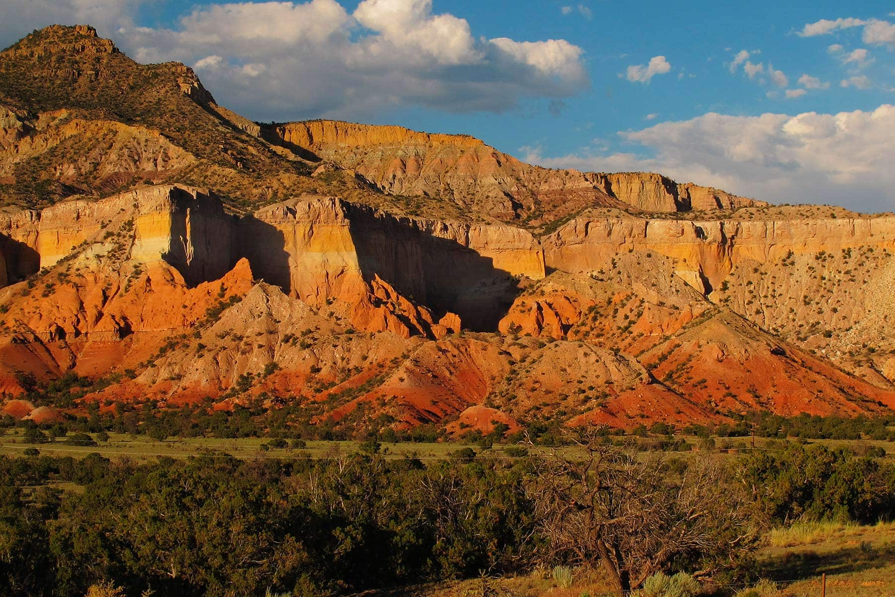 New Mexico