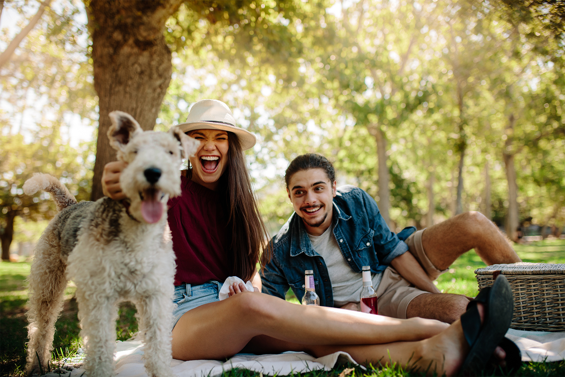 pet friendly hotels in woodward oklahoma