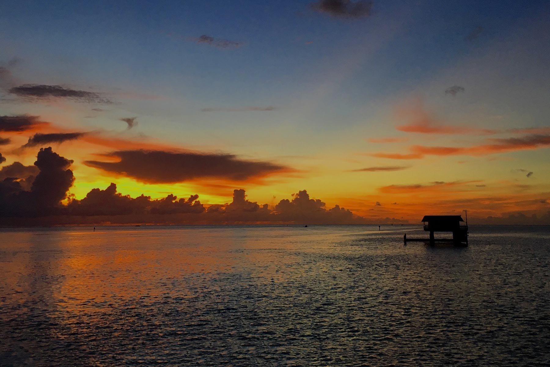 TL_3x2_Text_Biscayne_Fall2016