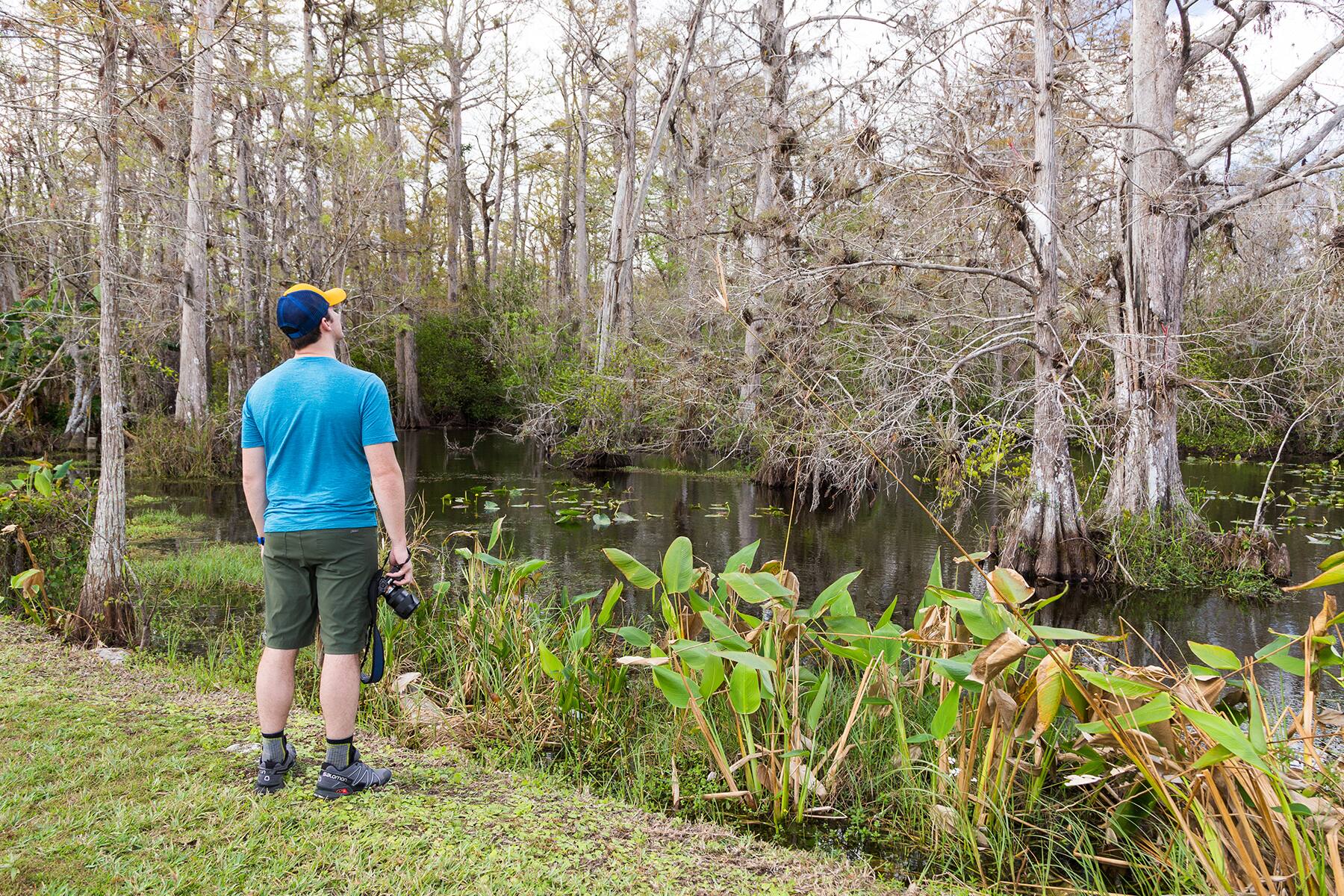 Everglades