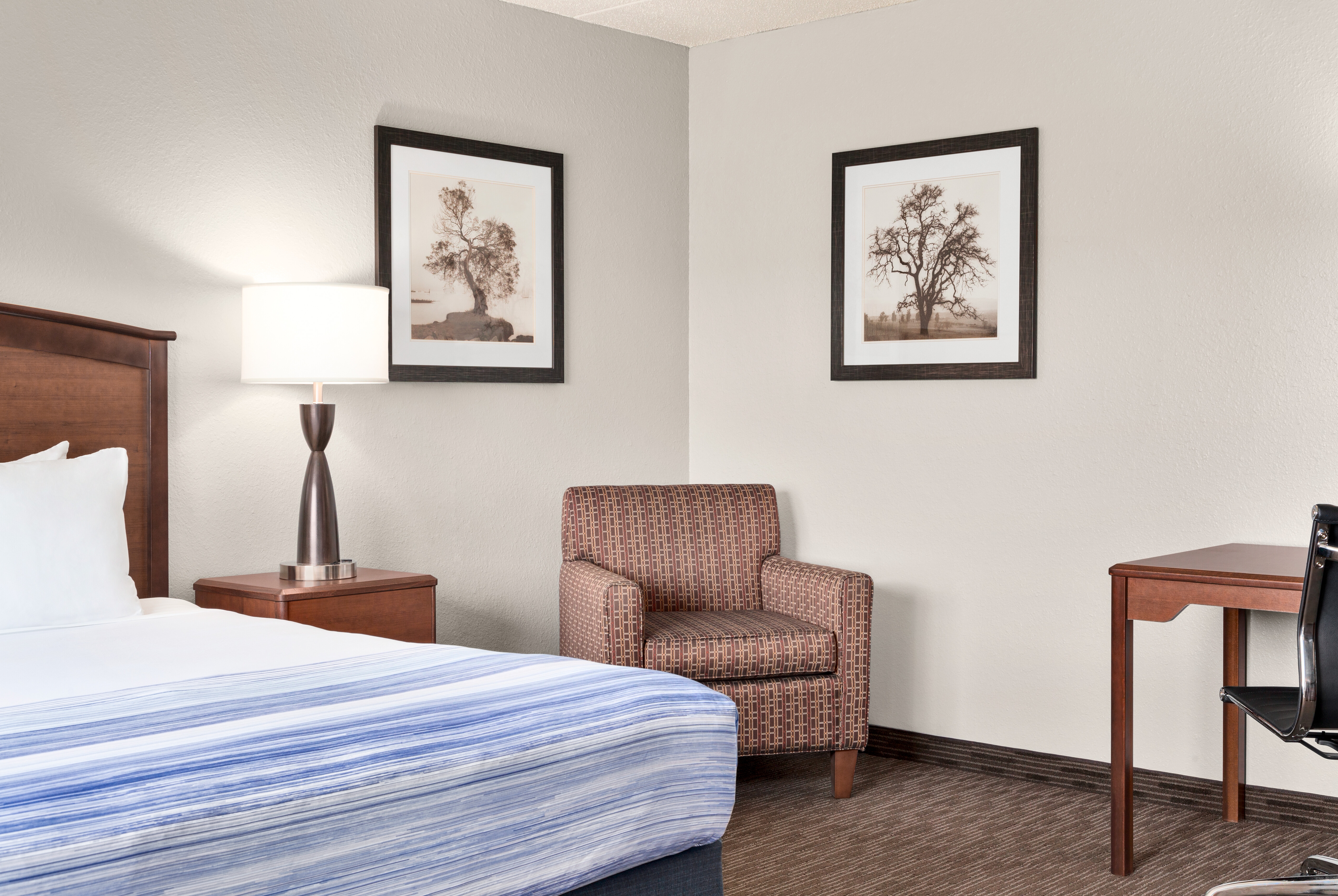 Guest room at the AmericInn by Wyndham Fergus Falls Conference Center in Fergus Falls, Minnesota