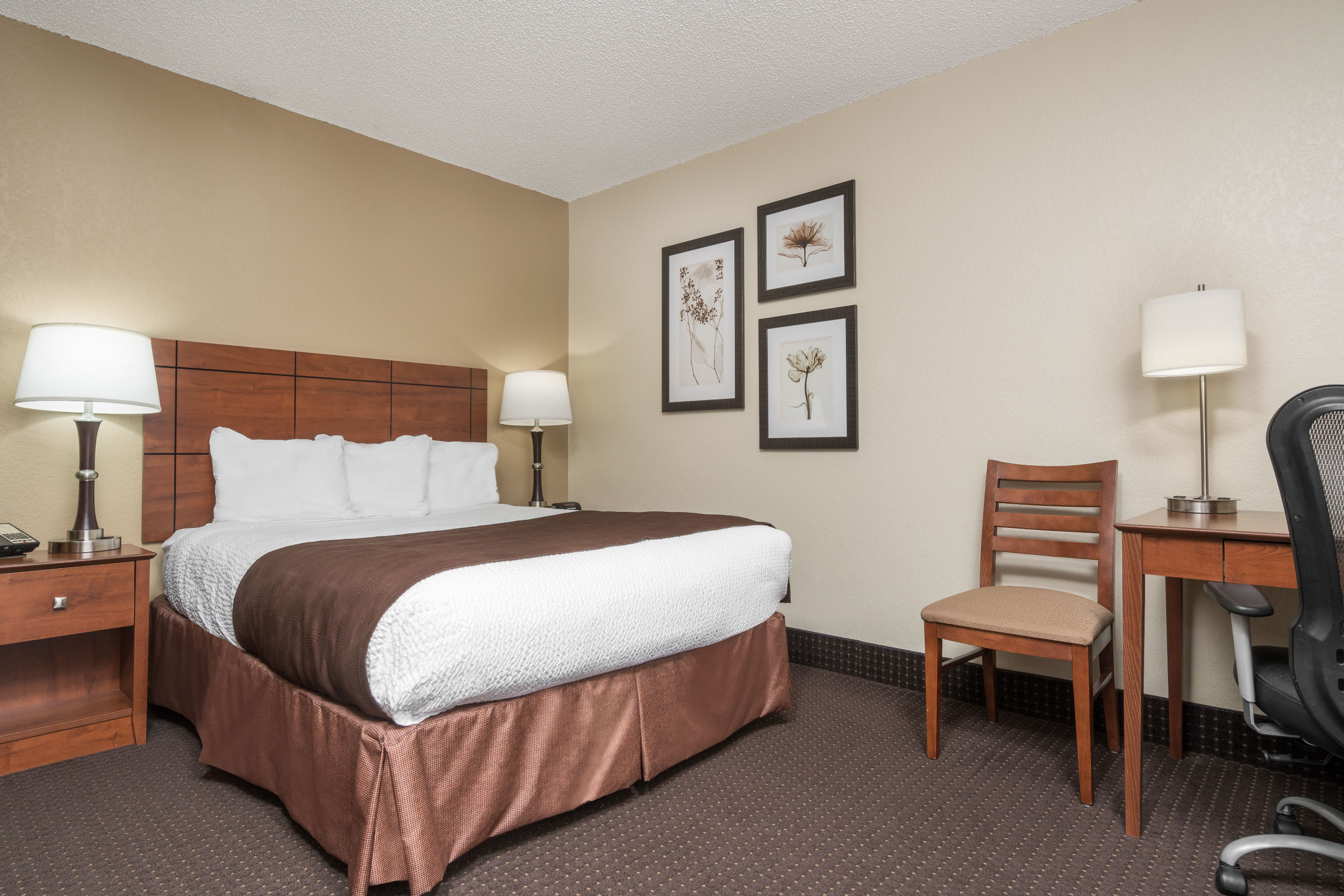 Guest room at the AmericInn by Wyndham Lake City in Lake City, Minnesota