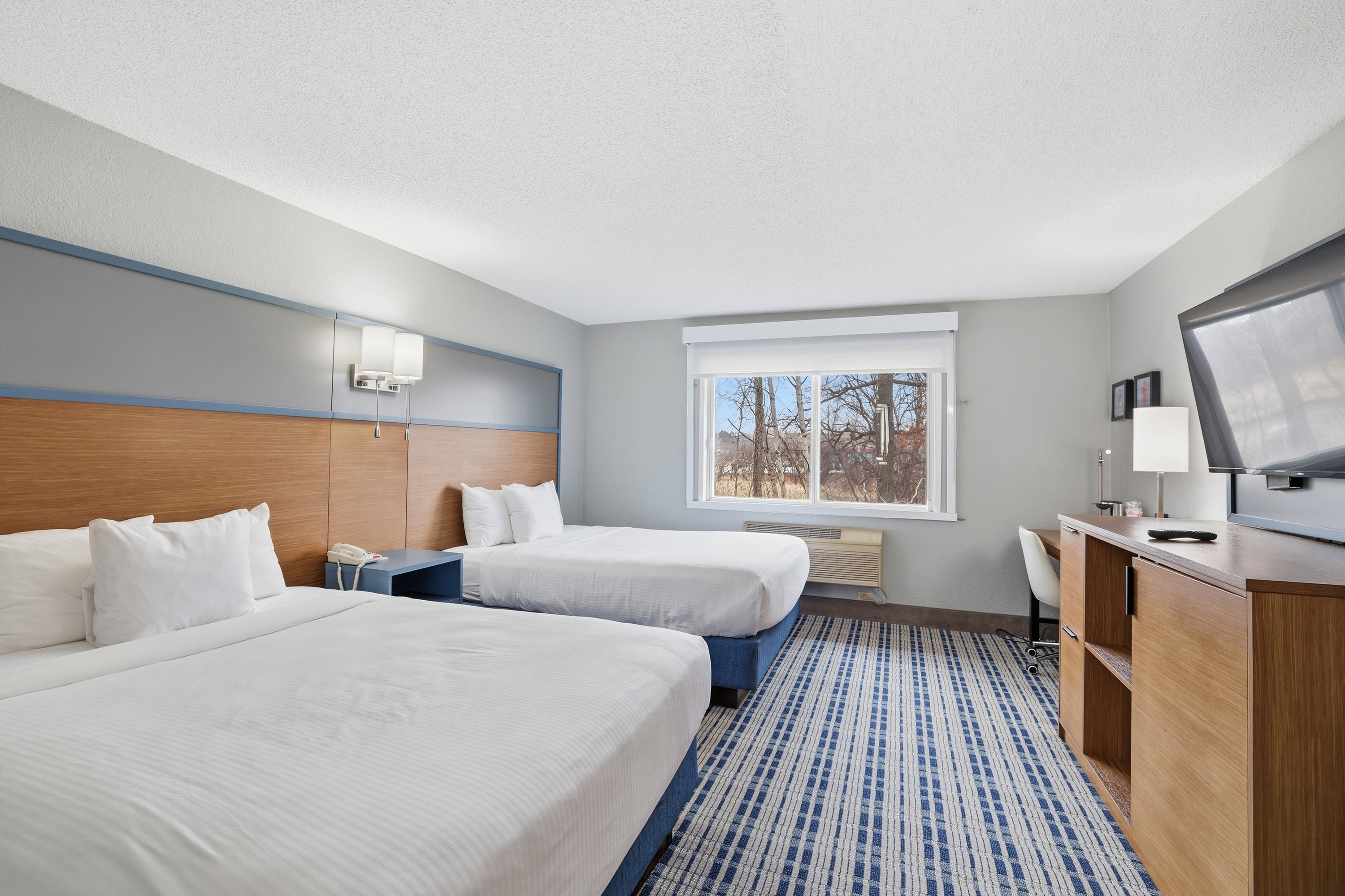 Guest room at the AmericInn by Wyndham White Bear Lake St. Paul in White Bear Lake, Minnesota