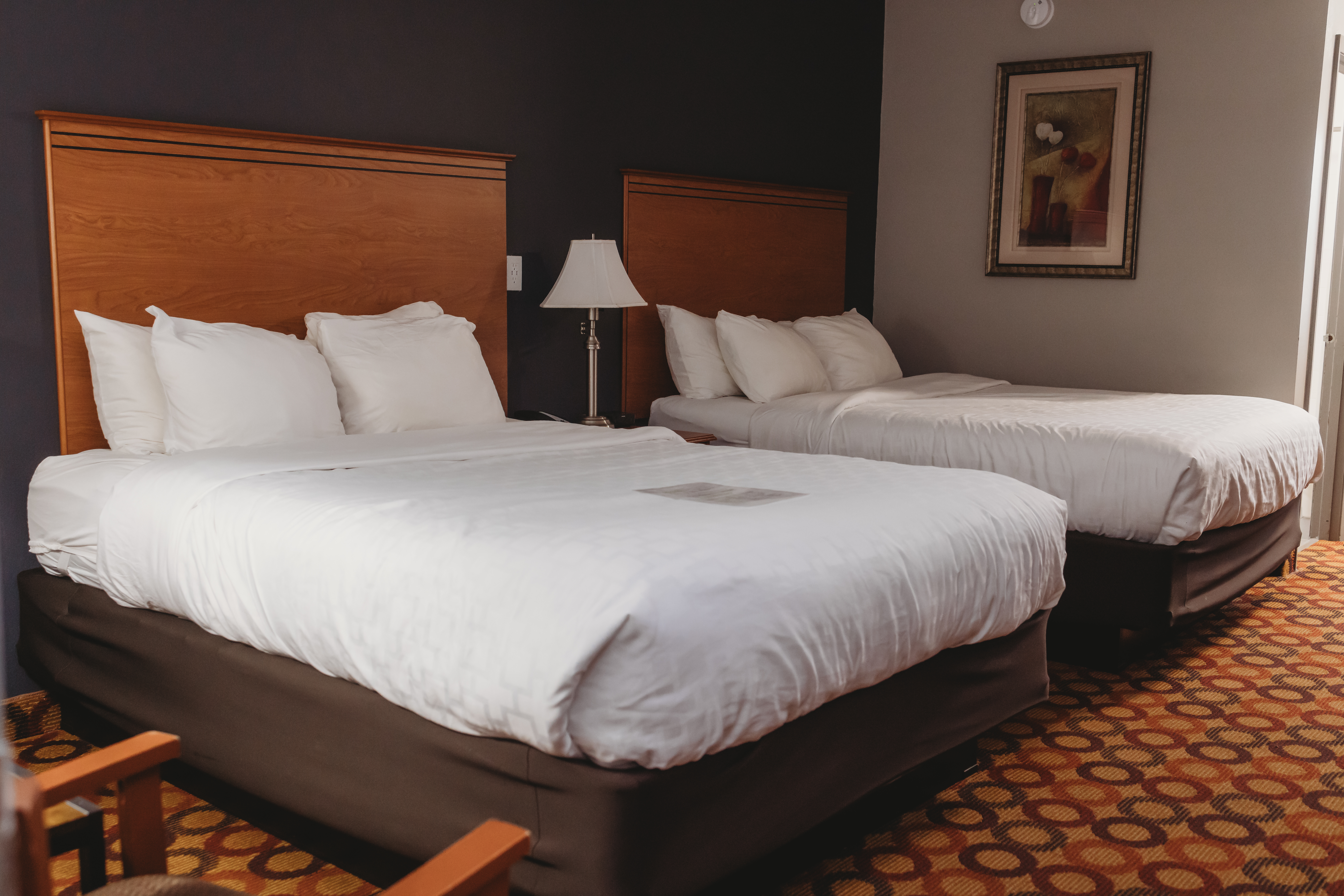 Guest room at the AmericInn by Wyndham Appleton Downtown in Appleton, Wisconsin