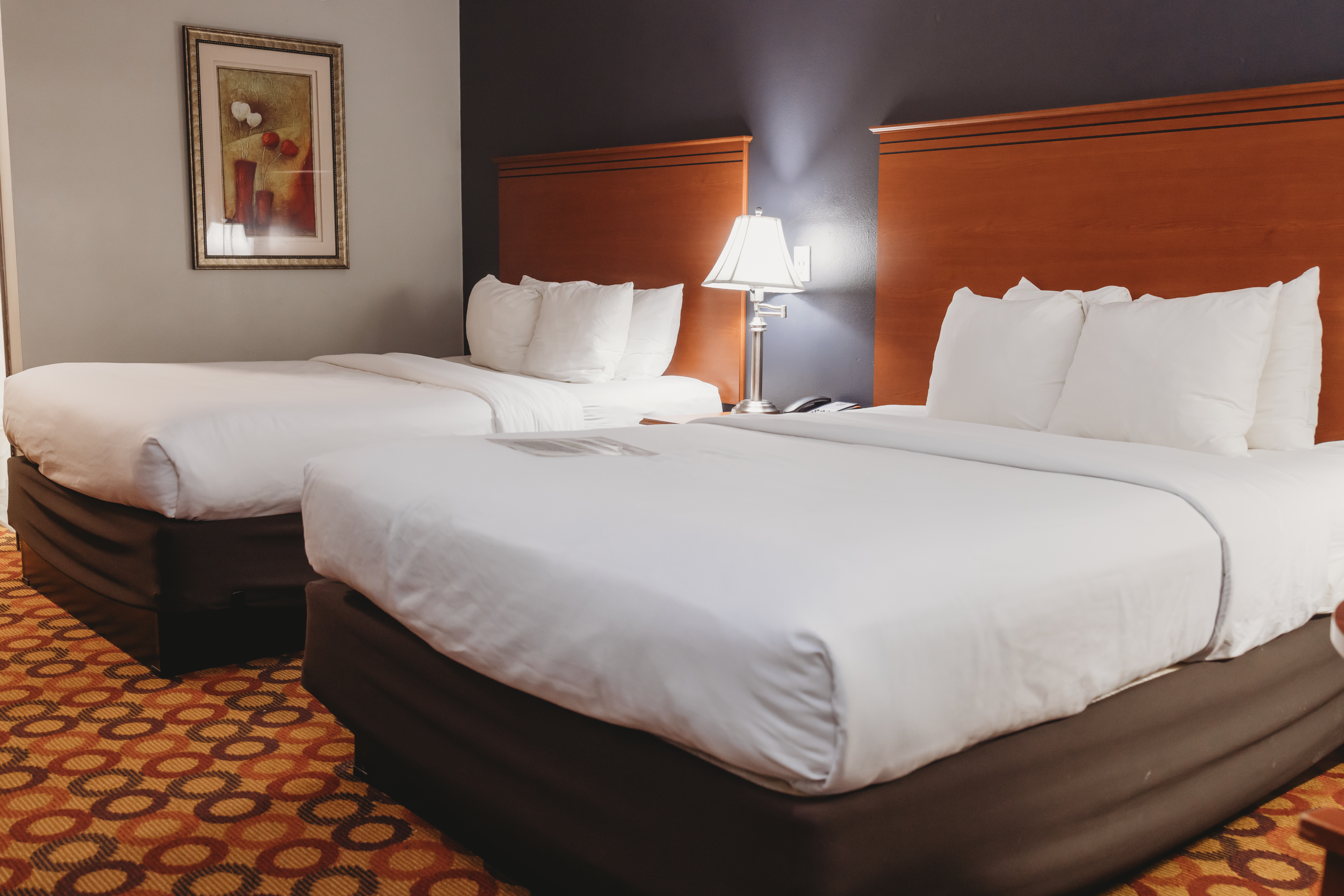 Guest room at the AmericInn by Wyndham Appleton Downtown in Appleton, Wisconsin