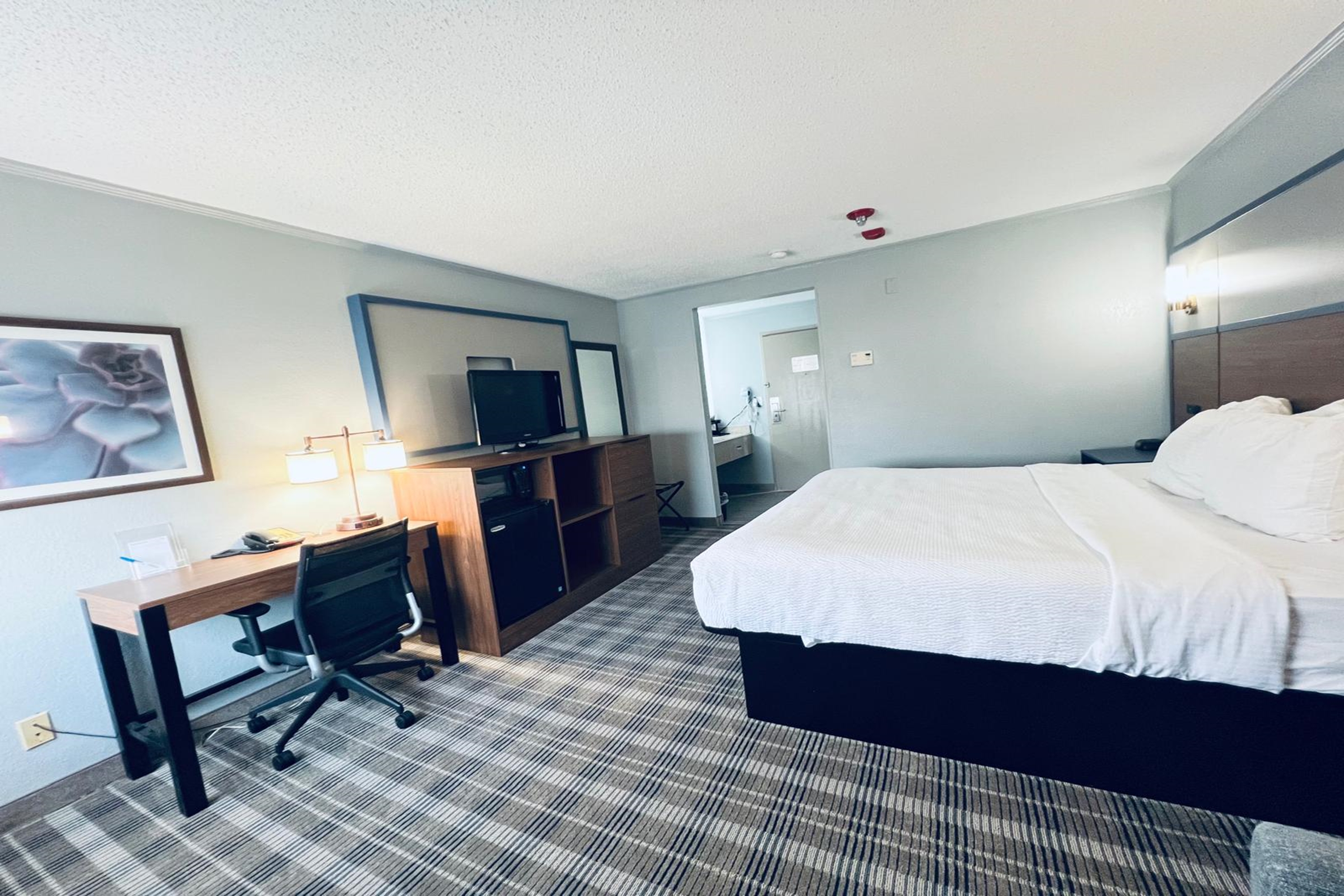 Guest room at the AmericInn by Wyndham Glendale/Milwaukee in Glendale, Wisconsin