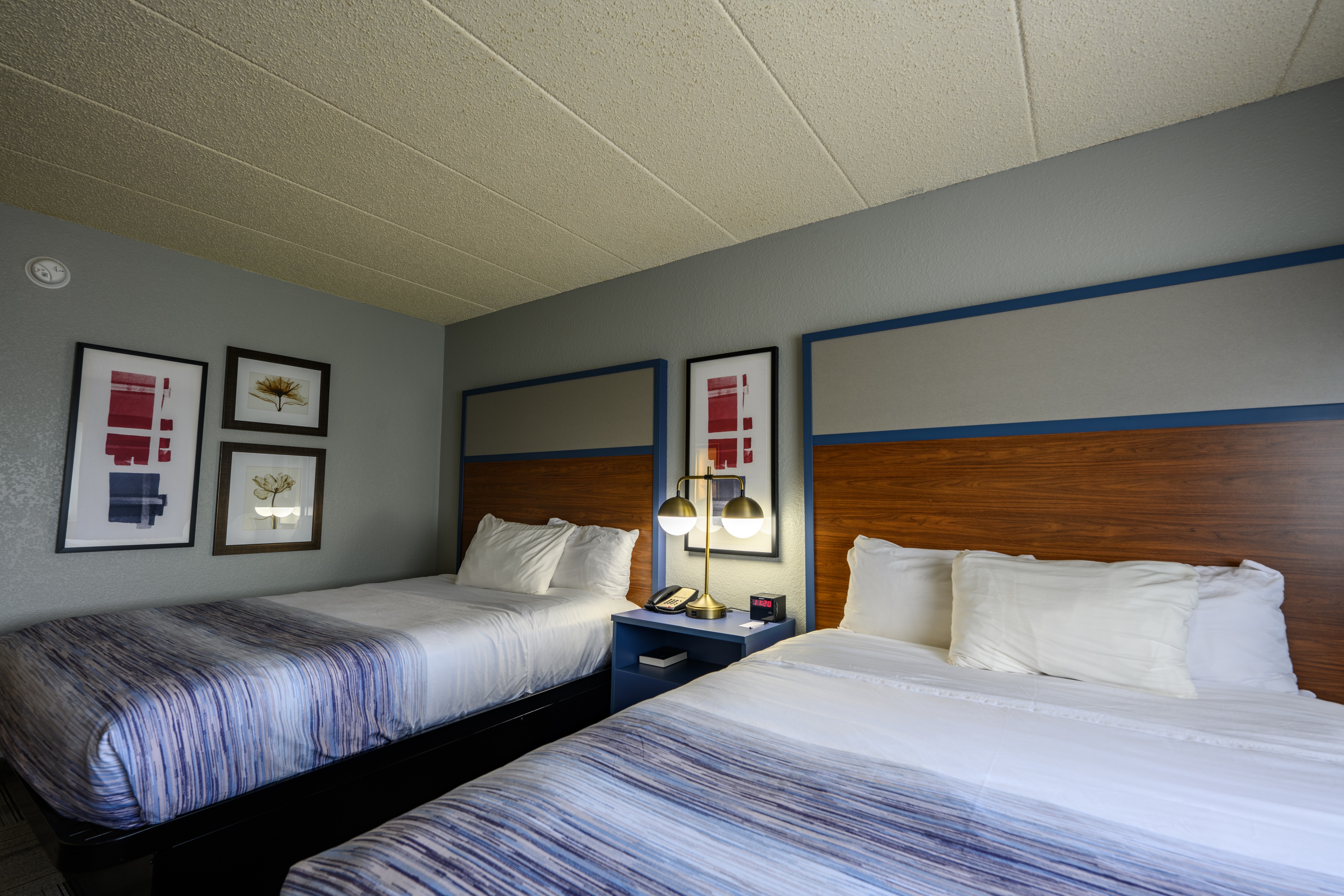 Guest room at the AmericInn by Wyndham Monroe in Monroe, Wisconsin