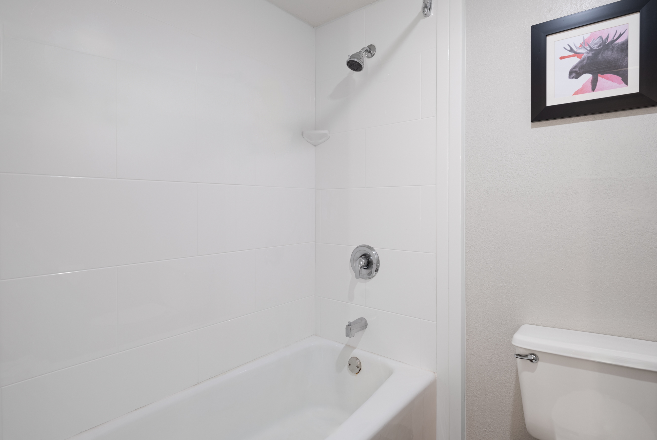 Guest room bath at the AmericInn by Wyndham Casper Event Center Area in Casper, Wyoming