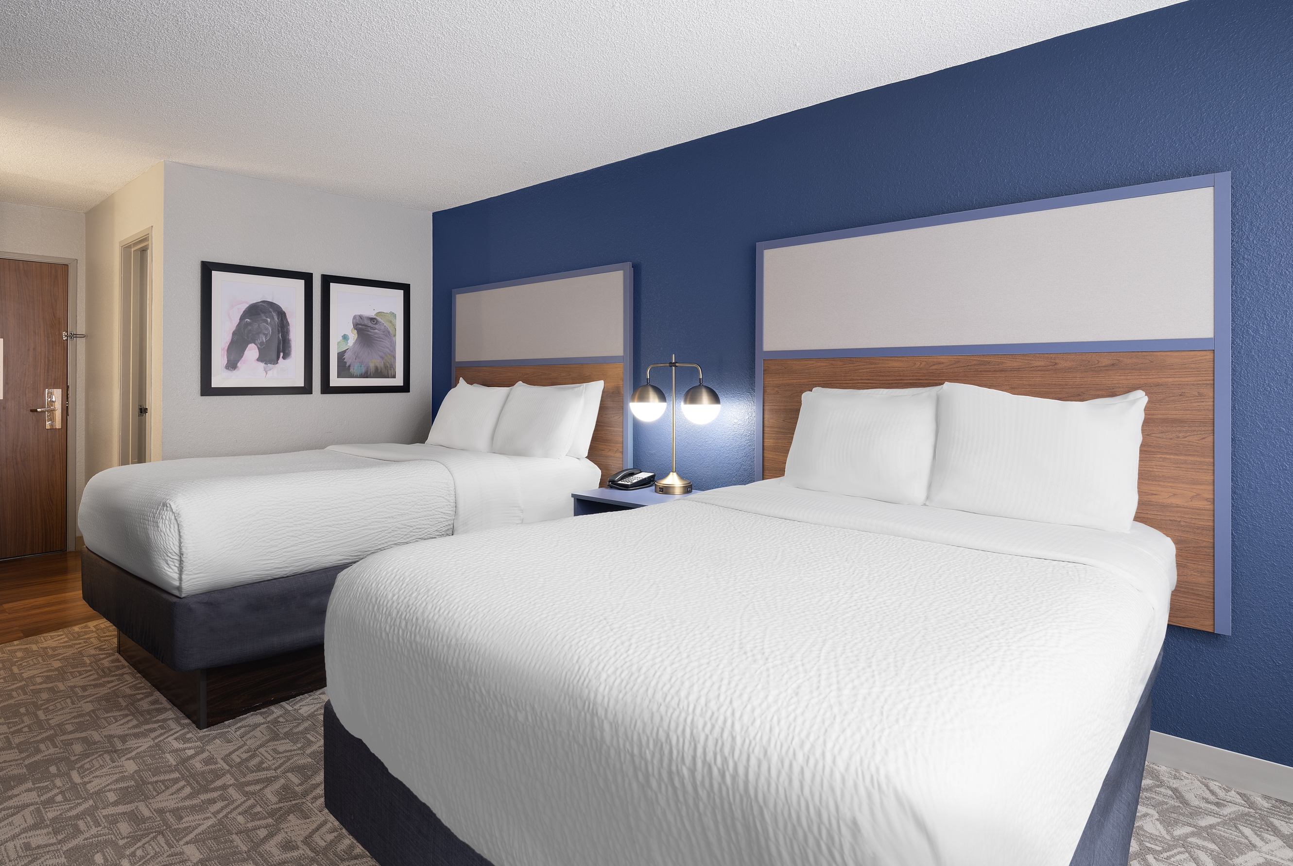 Guest room at the AmericInn by Wyndham Casper Event Center Area in Casper, Wyoming