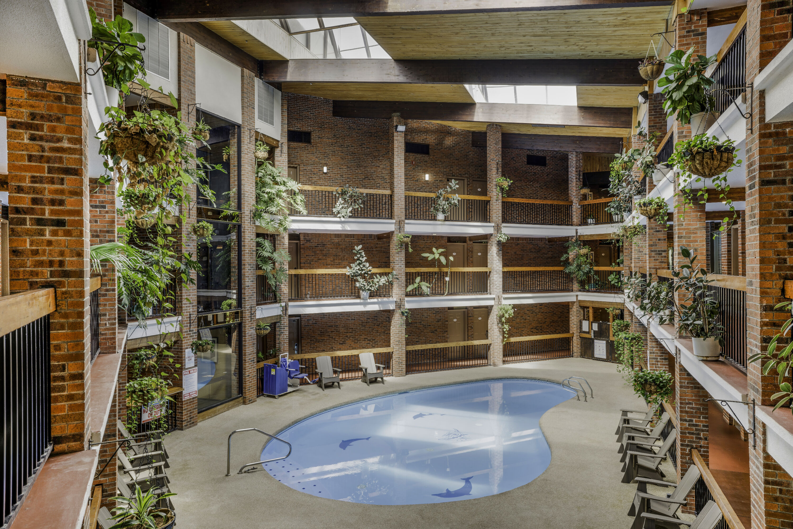 Indoor pool at the Baymont by Wyndham Cortez in Cortez, Colorado