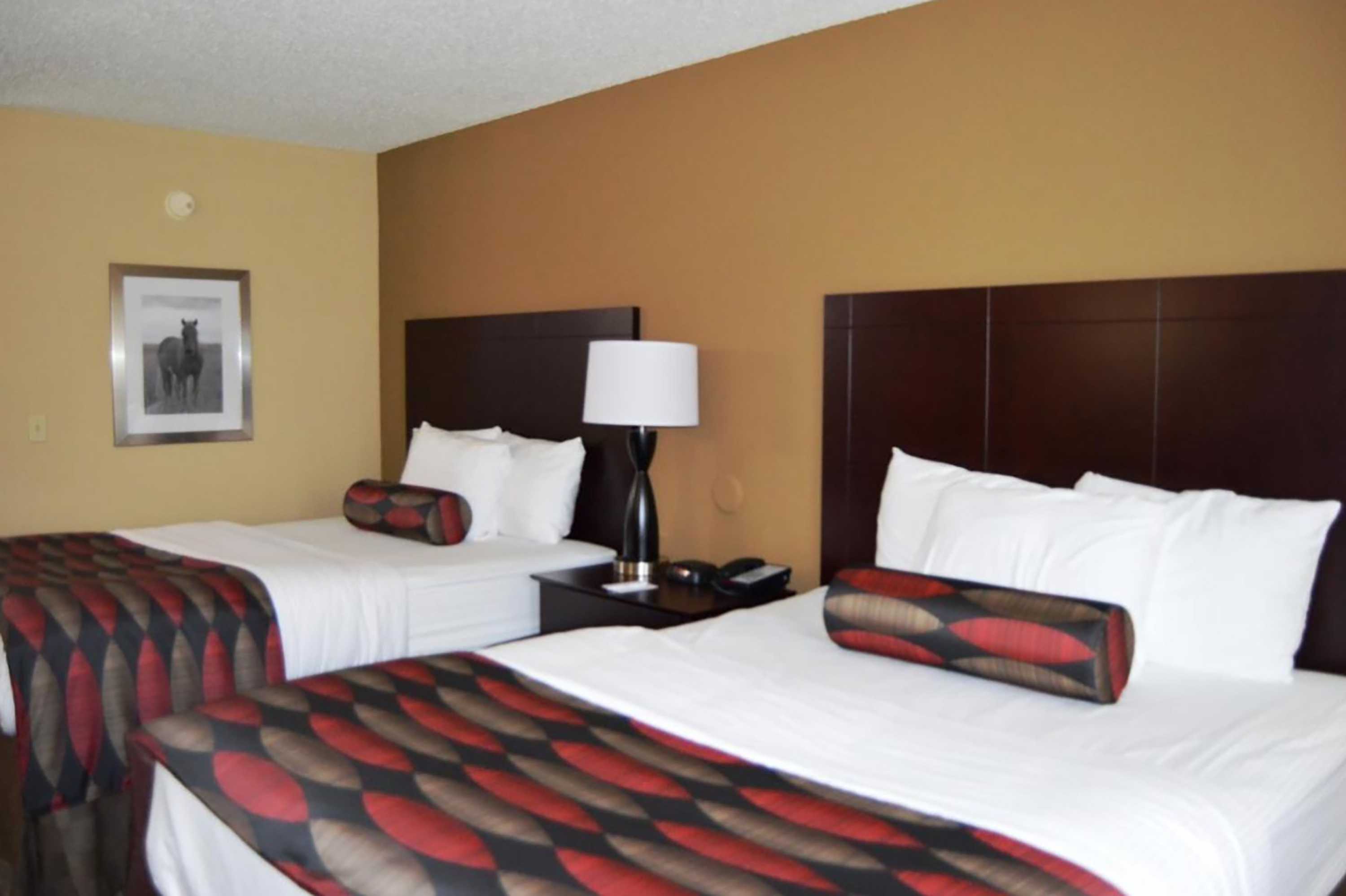 Guest room at the Baymont by Wyndham Ardmore I-35 in Ardmore, Oklahoma