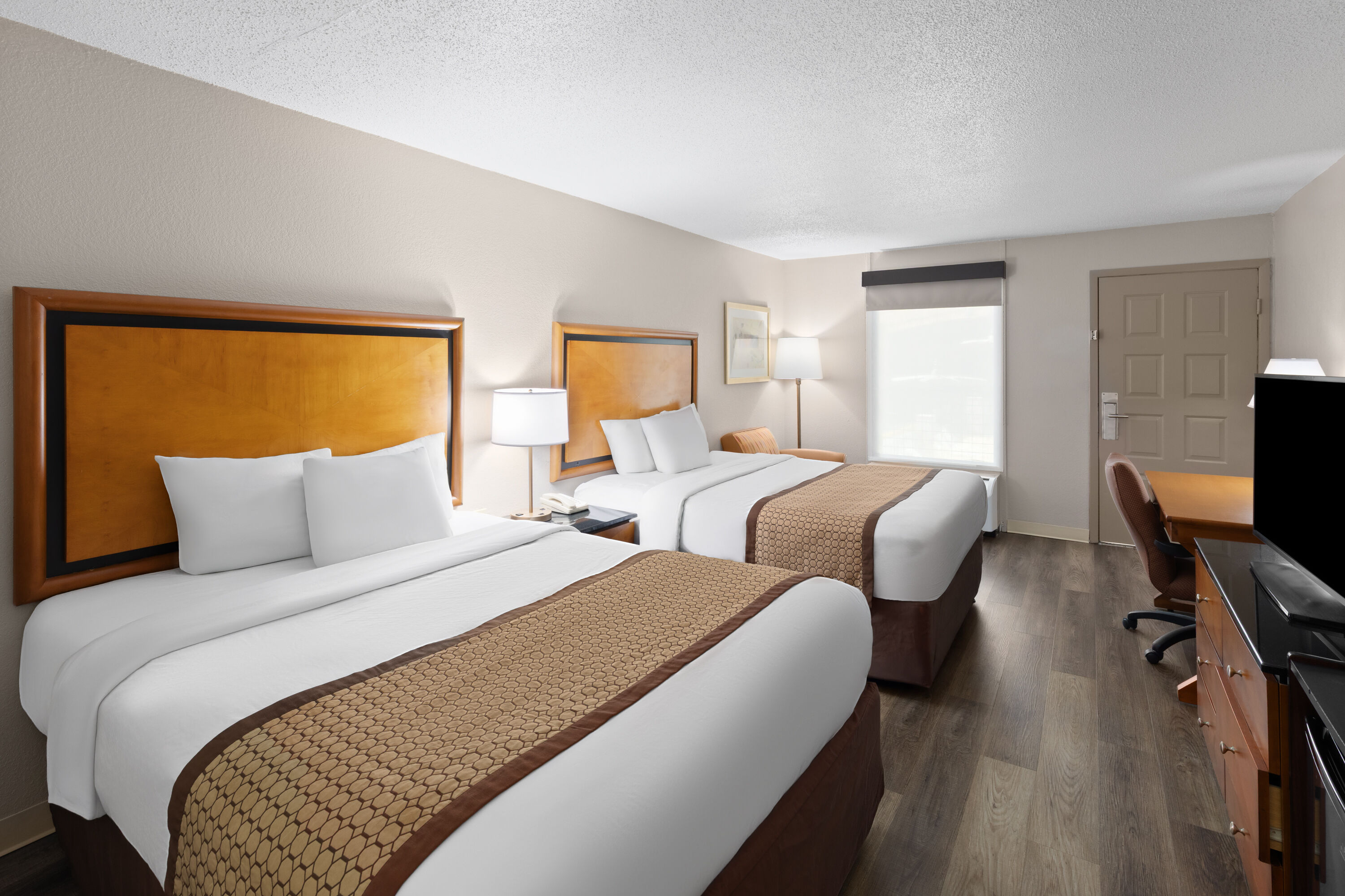 Guest room at the Baymont by Wyndham Knoxville I-75 in Knoxville, Tennessee