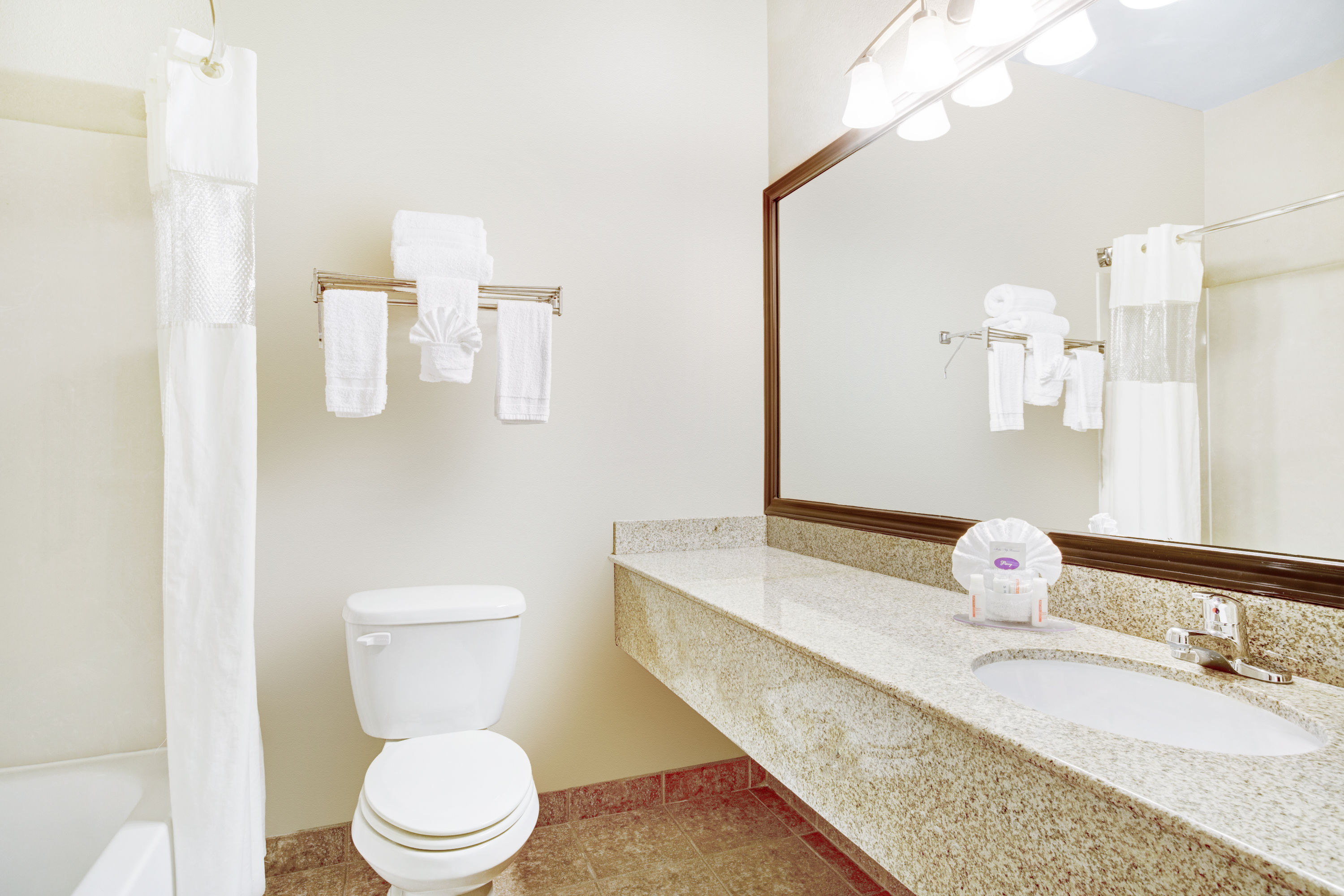 Guest room at the Baymont by Wyndham Dallas/ Love Field in Dallas, Texas