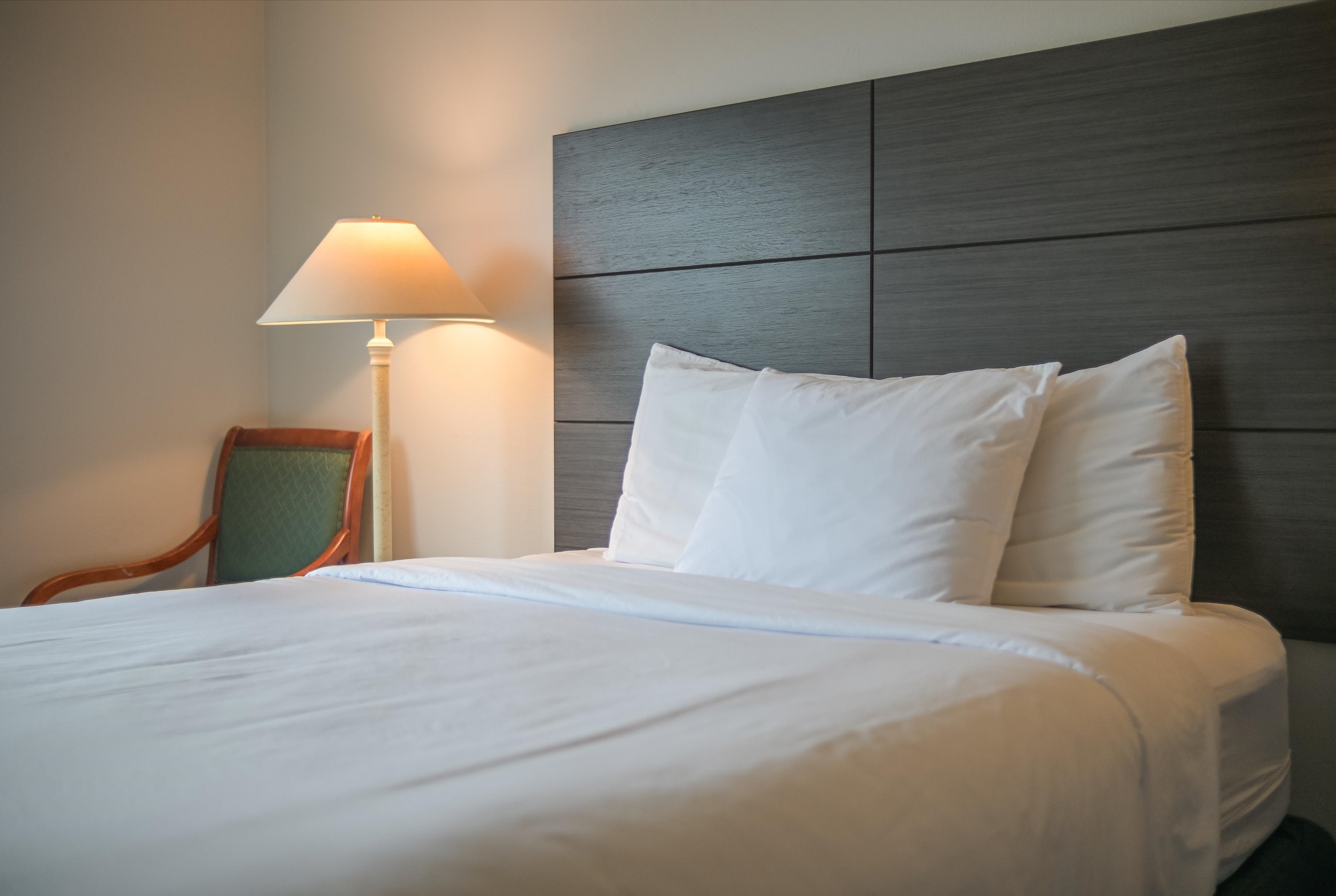 Guest room at the Baymont by Wyndham Bellingham in Bellingham, Washington