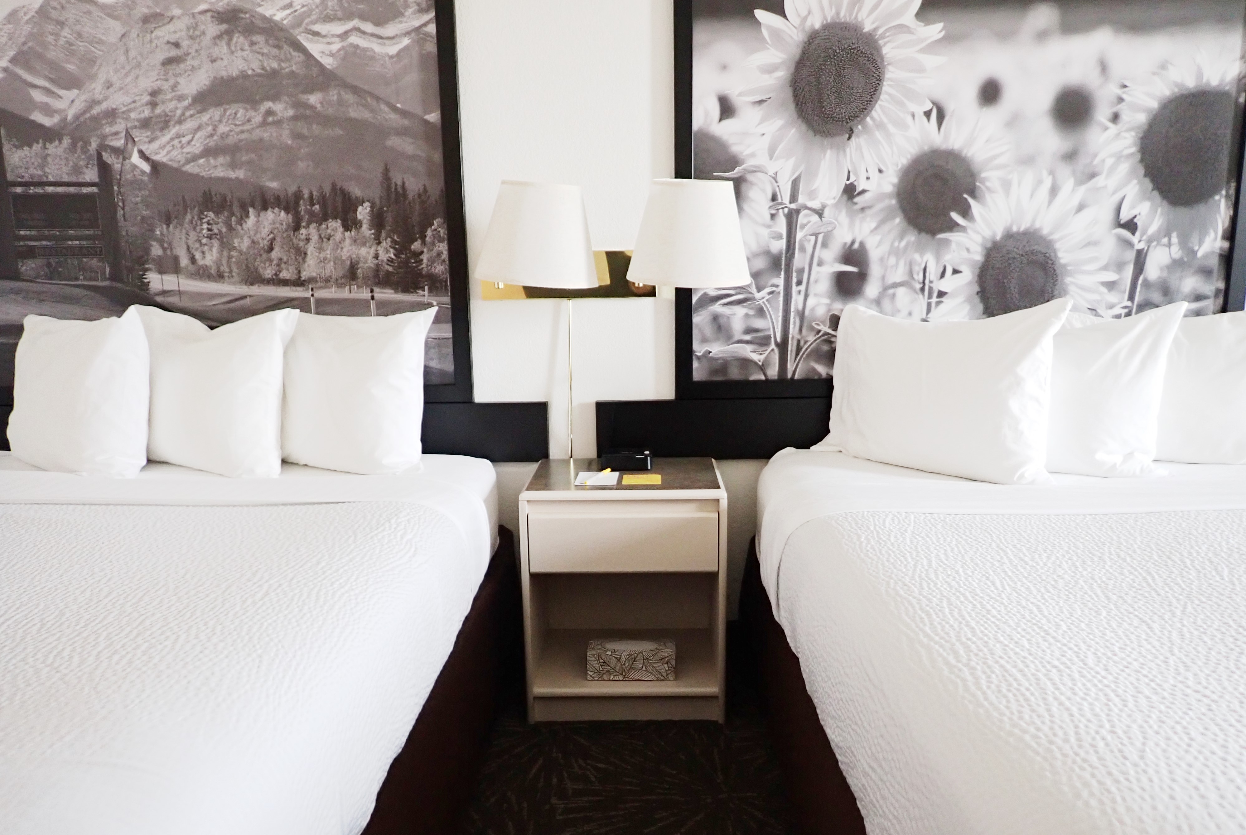 Guest room at the Days Inn by Wyndham Taber in Taber, Alberta