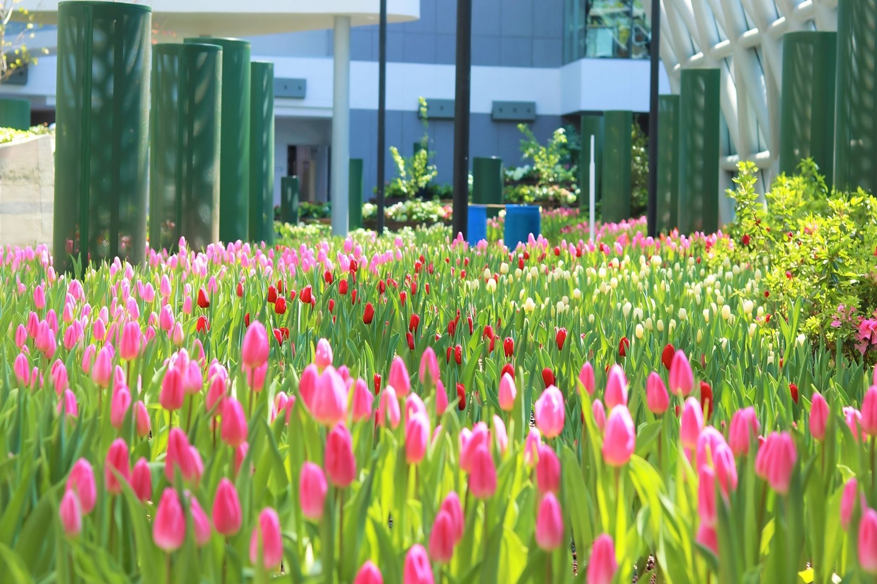 Property amenity at Days Hotel by Wyndham Rayong Banchang in Ban Chang, Other than US/Canada