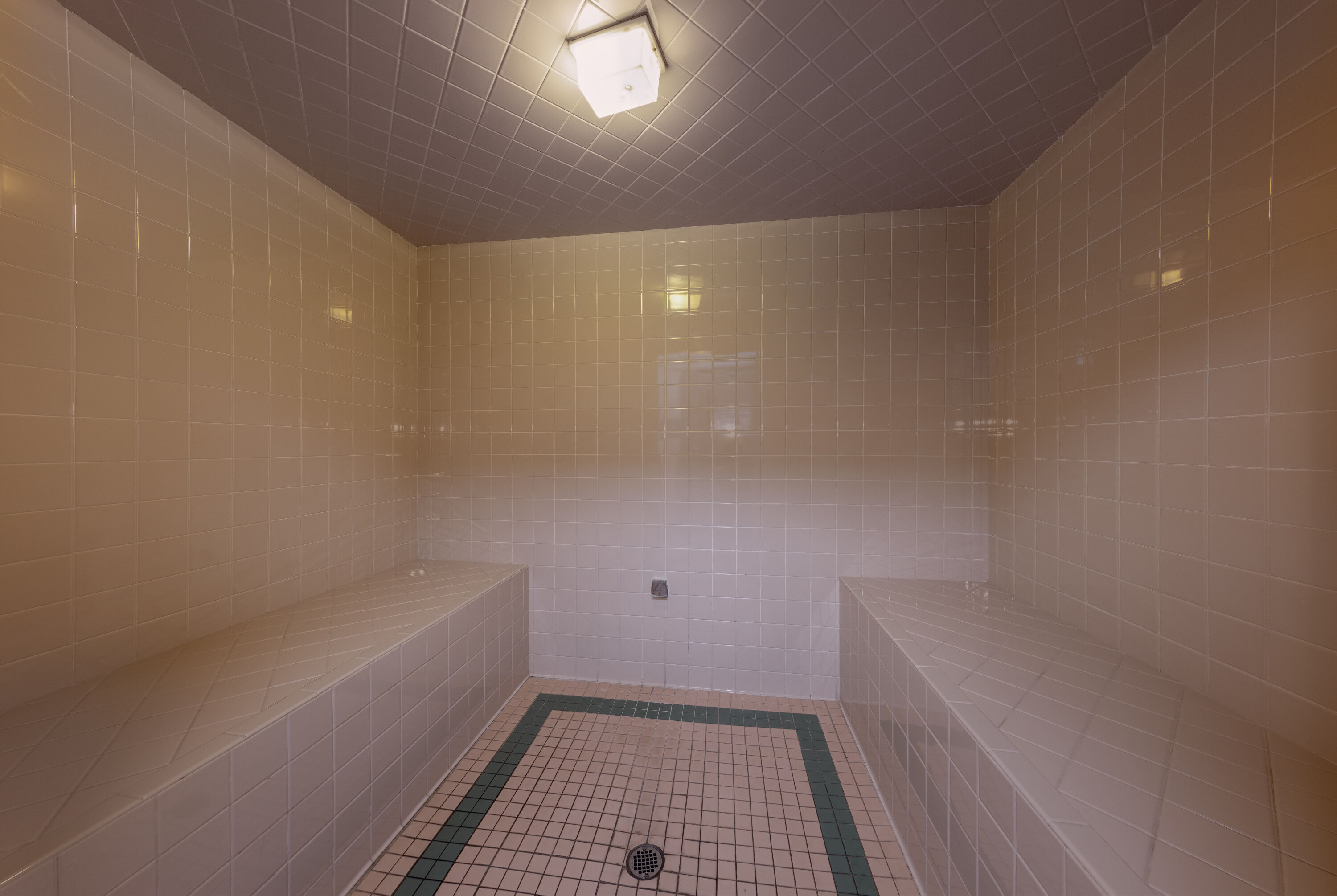 Days Inn by Wyndham Lathrop sauna in Lathrop, California