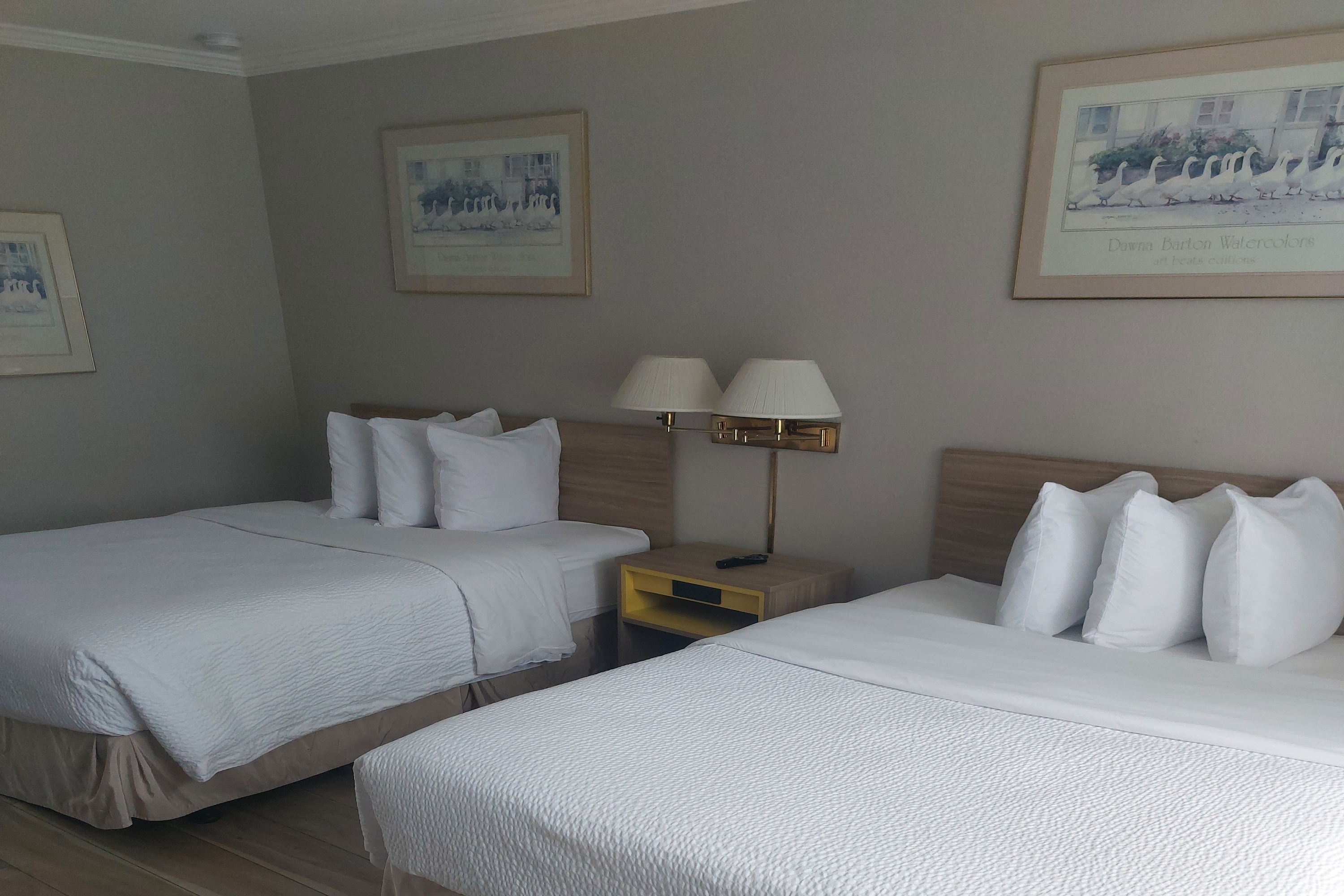 Guest room at the Days Inn & Suites by Wyndham Mountain View in Mountain View, California