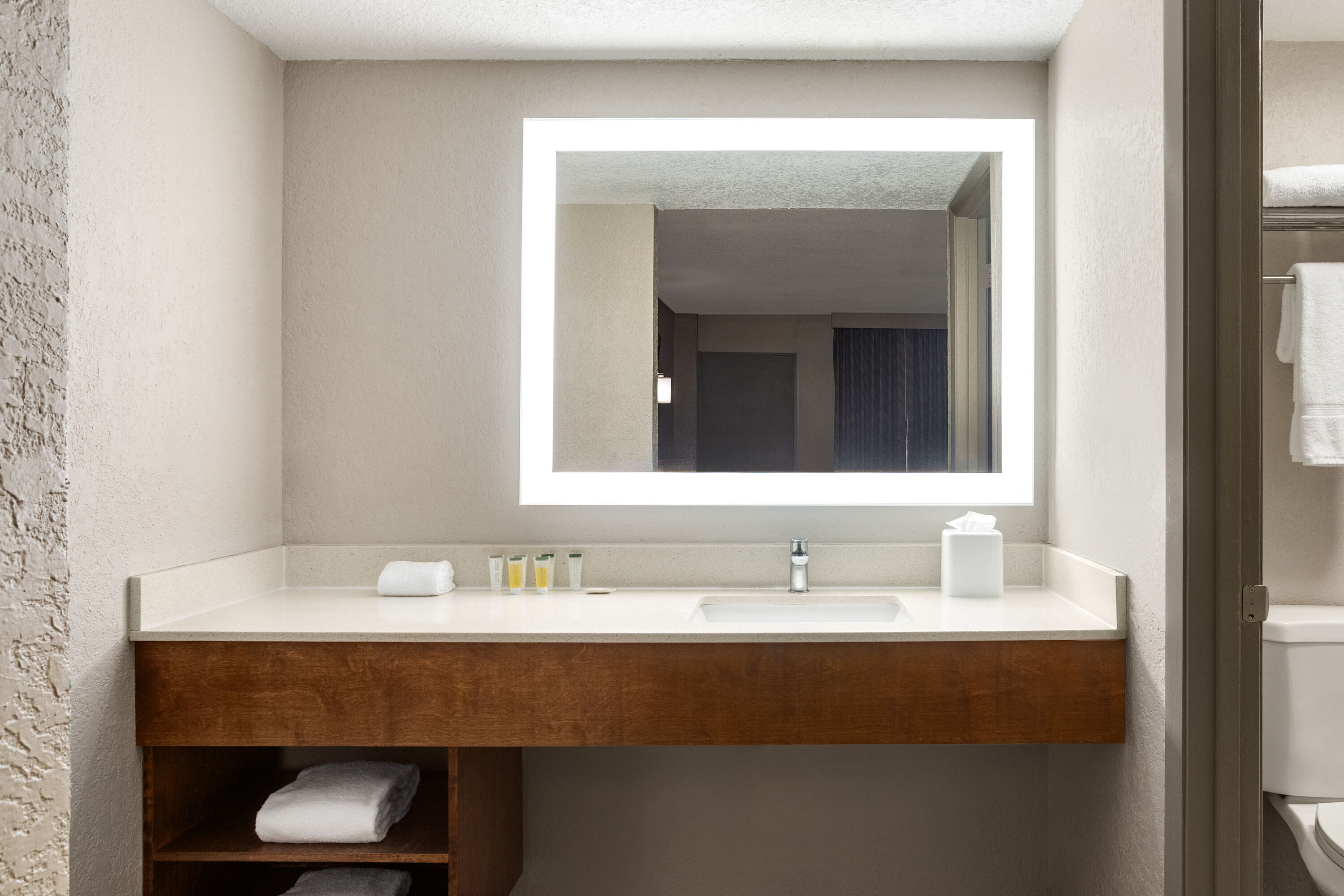 Guest room bath at the Days Inn by Wyndham Apopka/Orlando in APOPKA, Florida