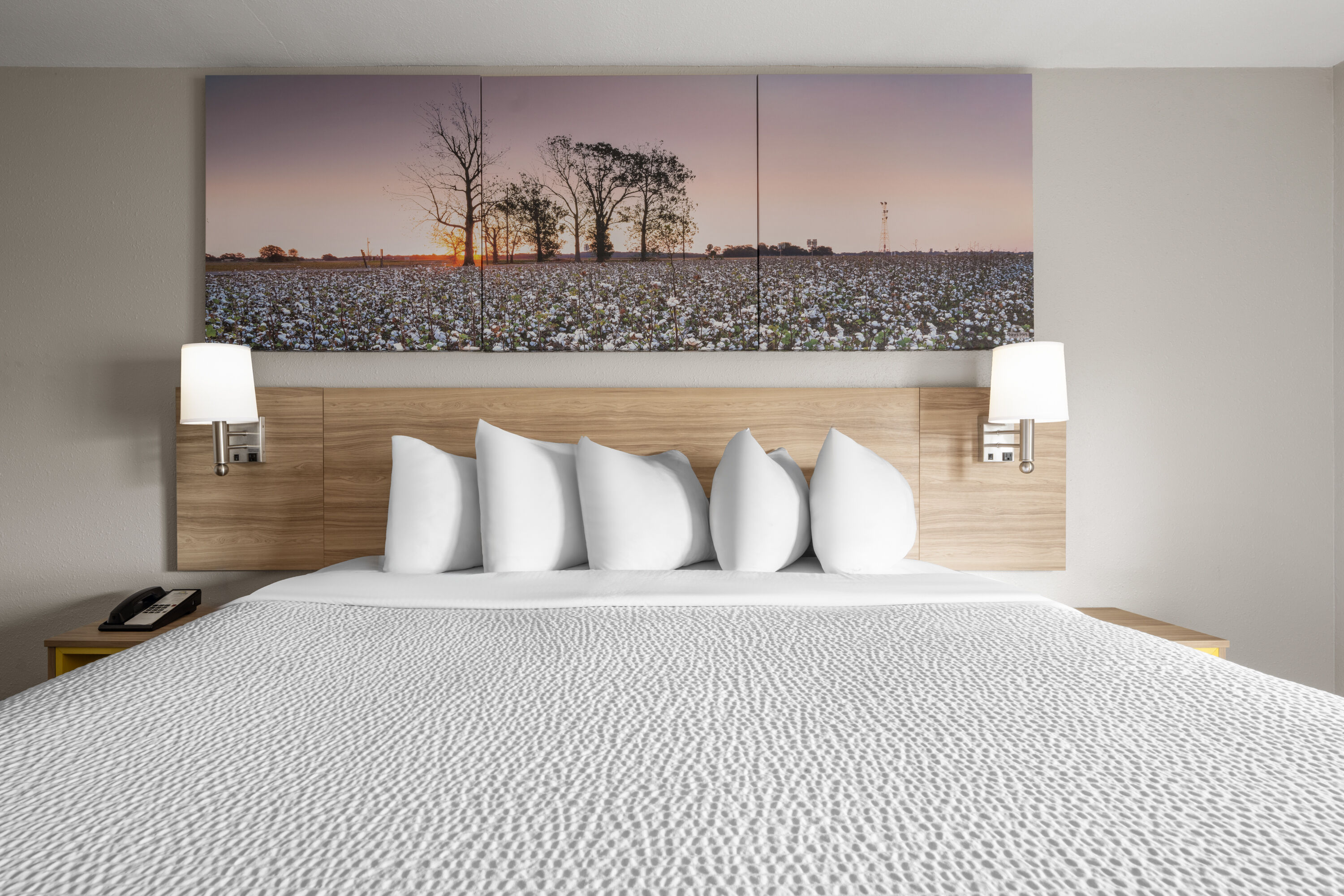 Guest room at the Days Inn by Wyndham Alma in Alma, Georgia