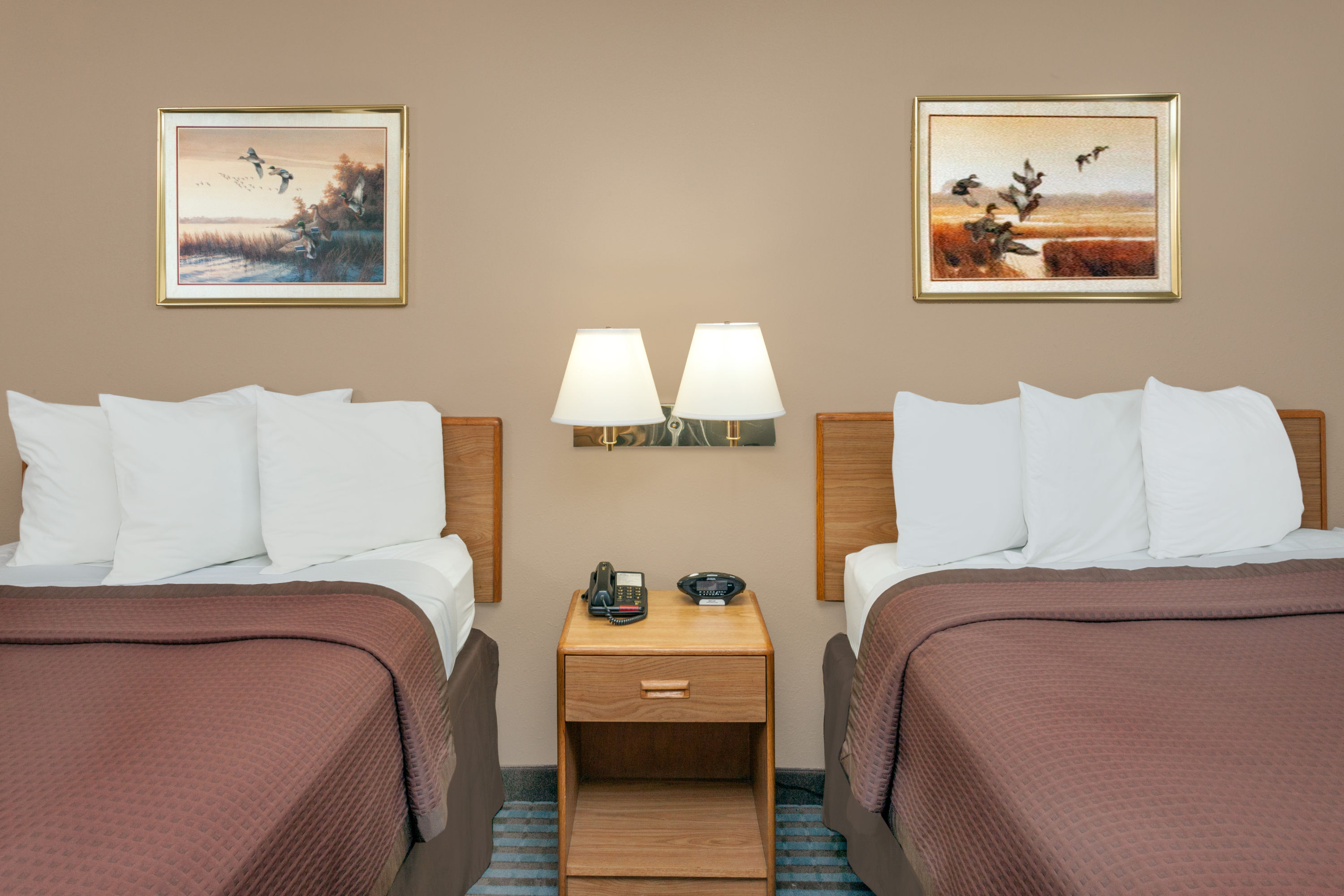 Guest room at the Days Inn by Wyndham Charleston in Charleston, Illinois