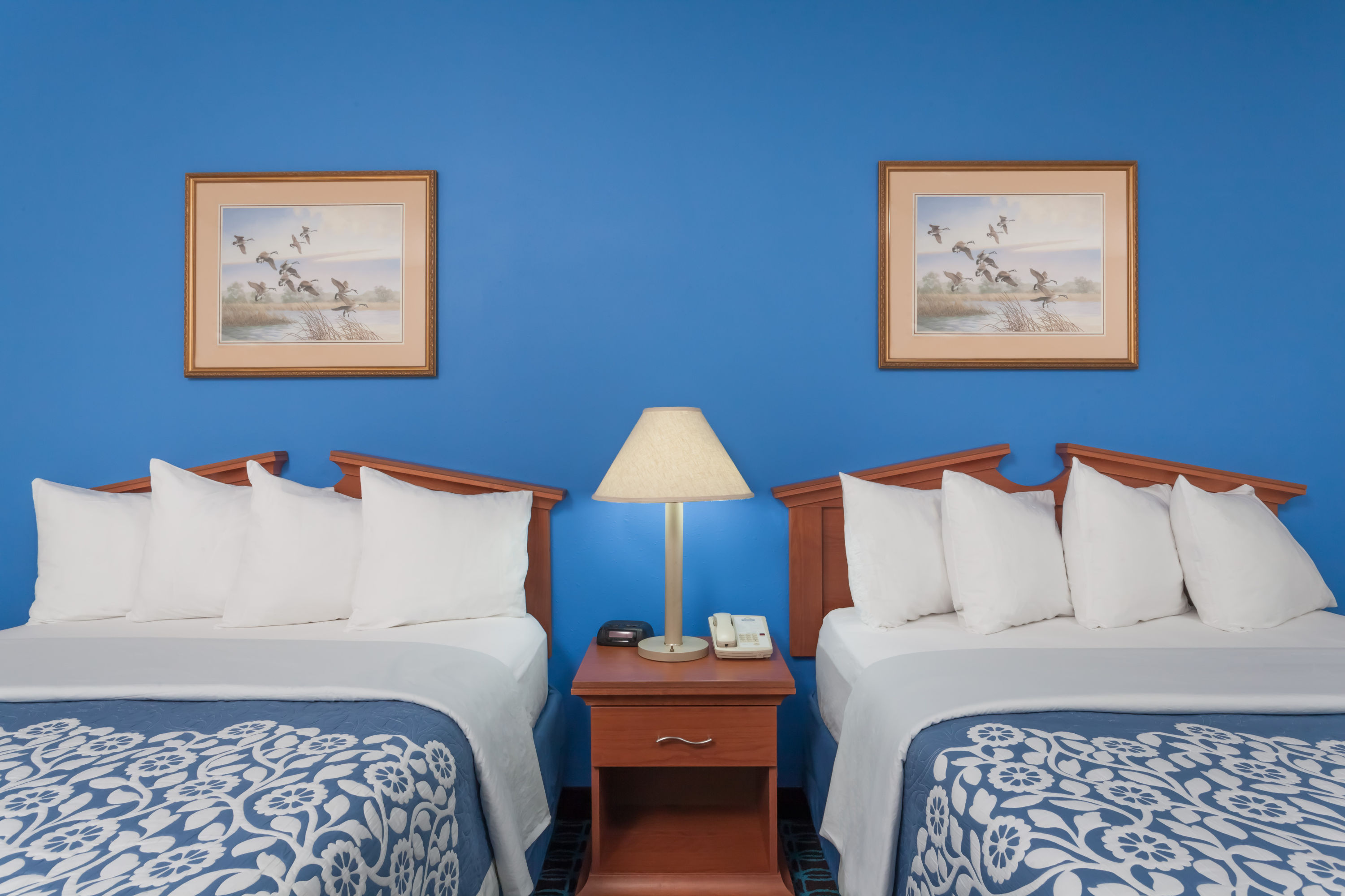 Guest room at the Days Inn & Suites by Wyndham Cambridge in Cambridge, Maryland