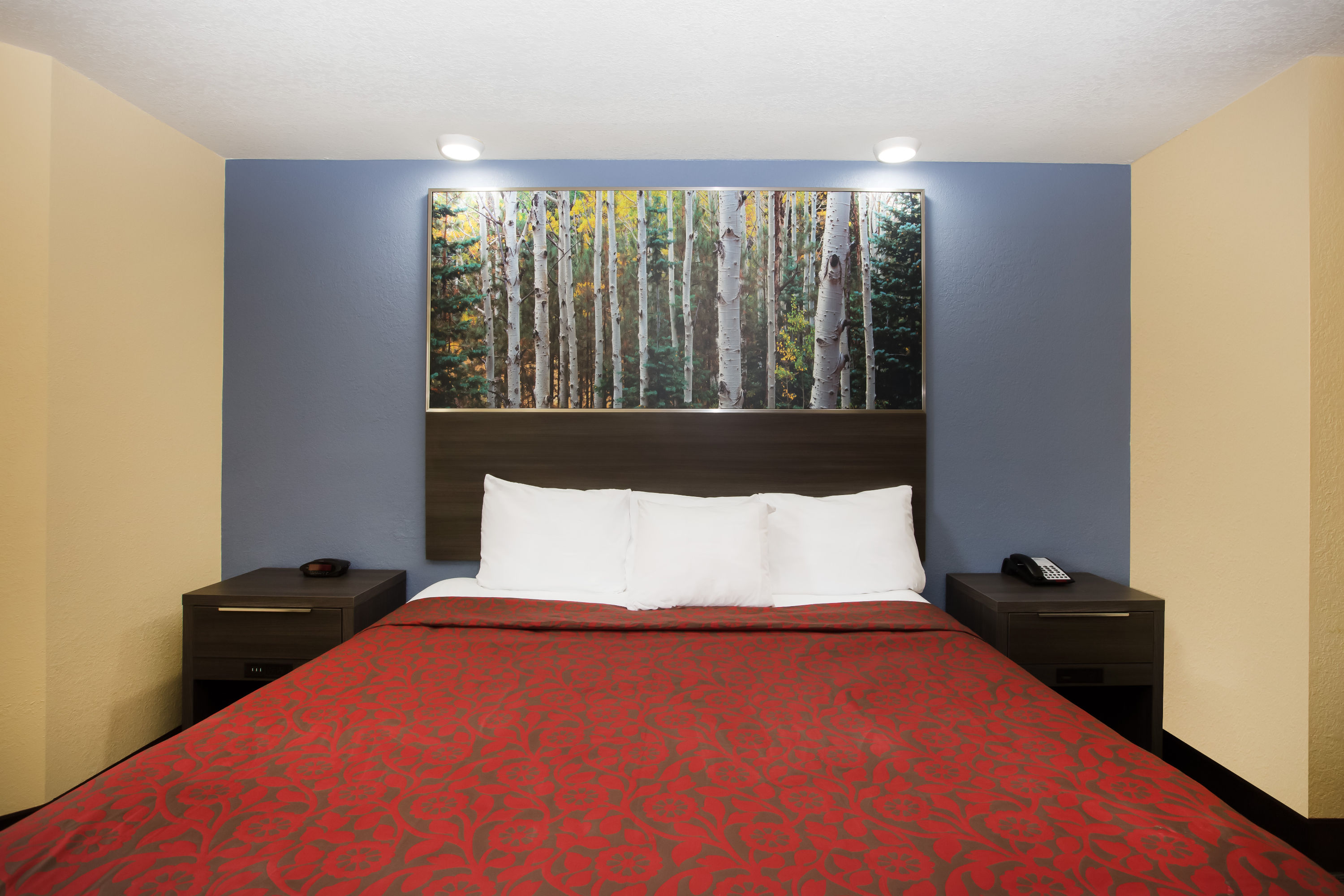 Days Inn By Wyndham Blue Springs Blue Springs Mo Hotels