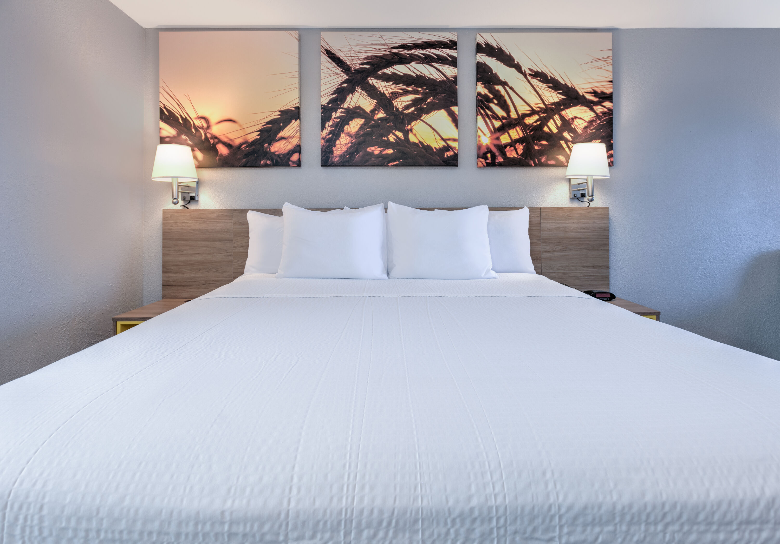 Guest room at the Days Inn by Wyndham Greenville MS in Greenville, Mississippi