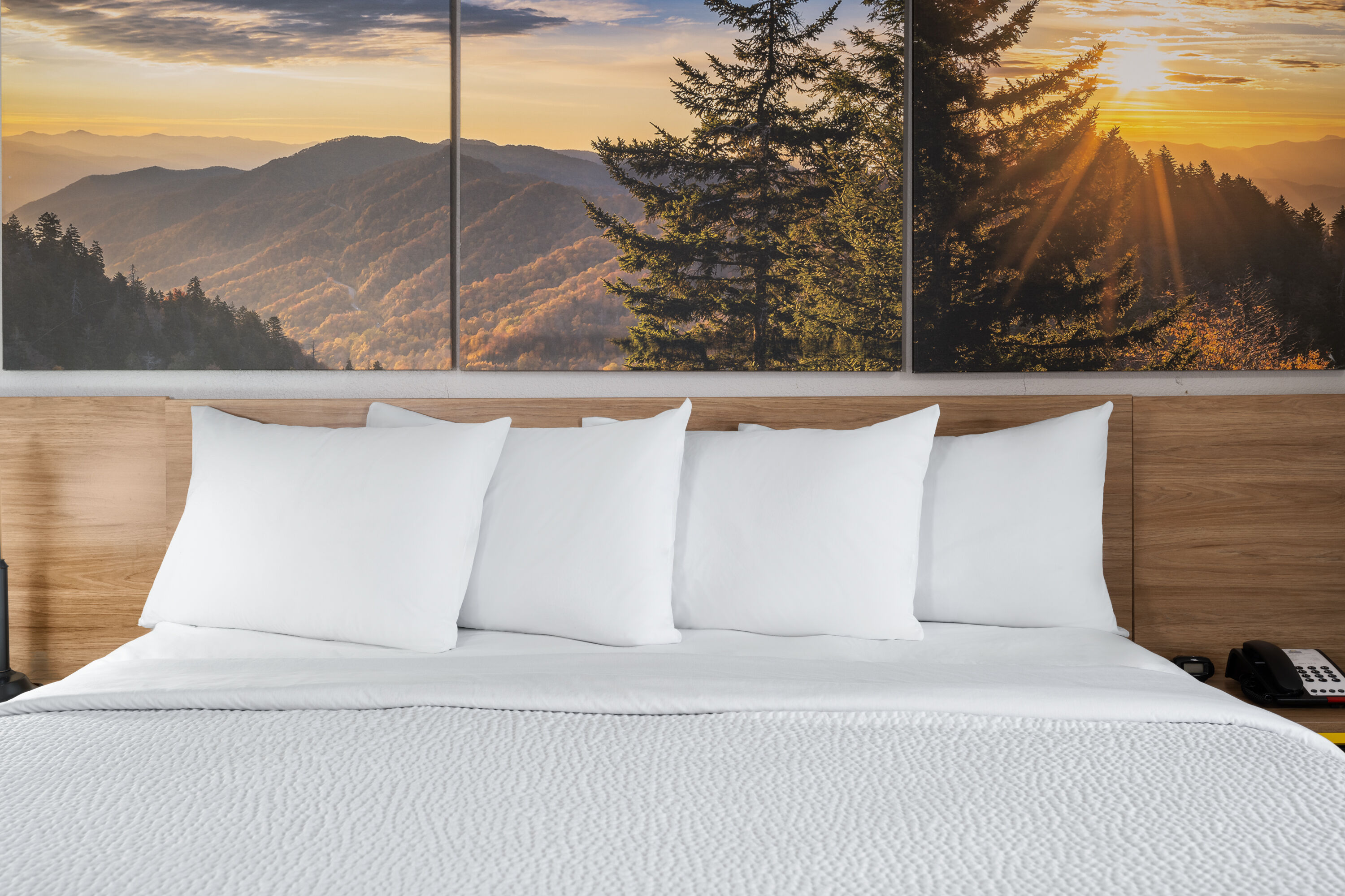 Guest room at the Days Inn by Wyndham Salisbury, NC in Salisbury, North Carolina