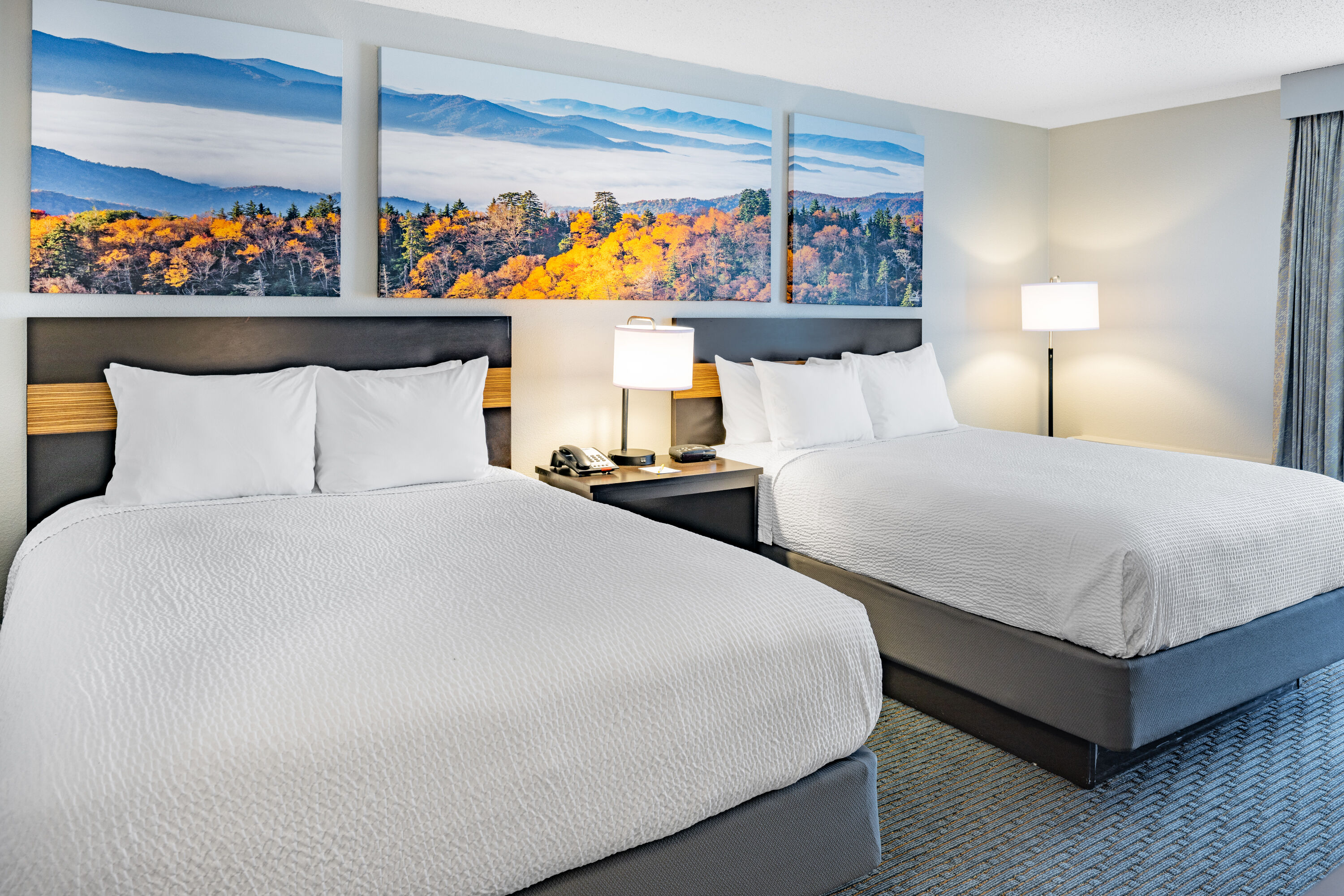 Guest room at the Days Inn by Wyndham Waynesville NC in Waynesville, North Carolina