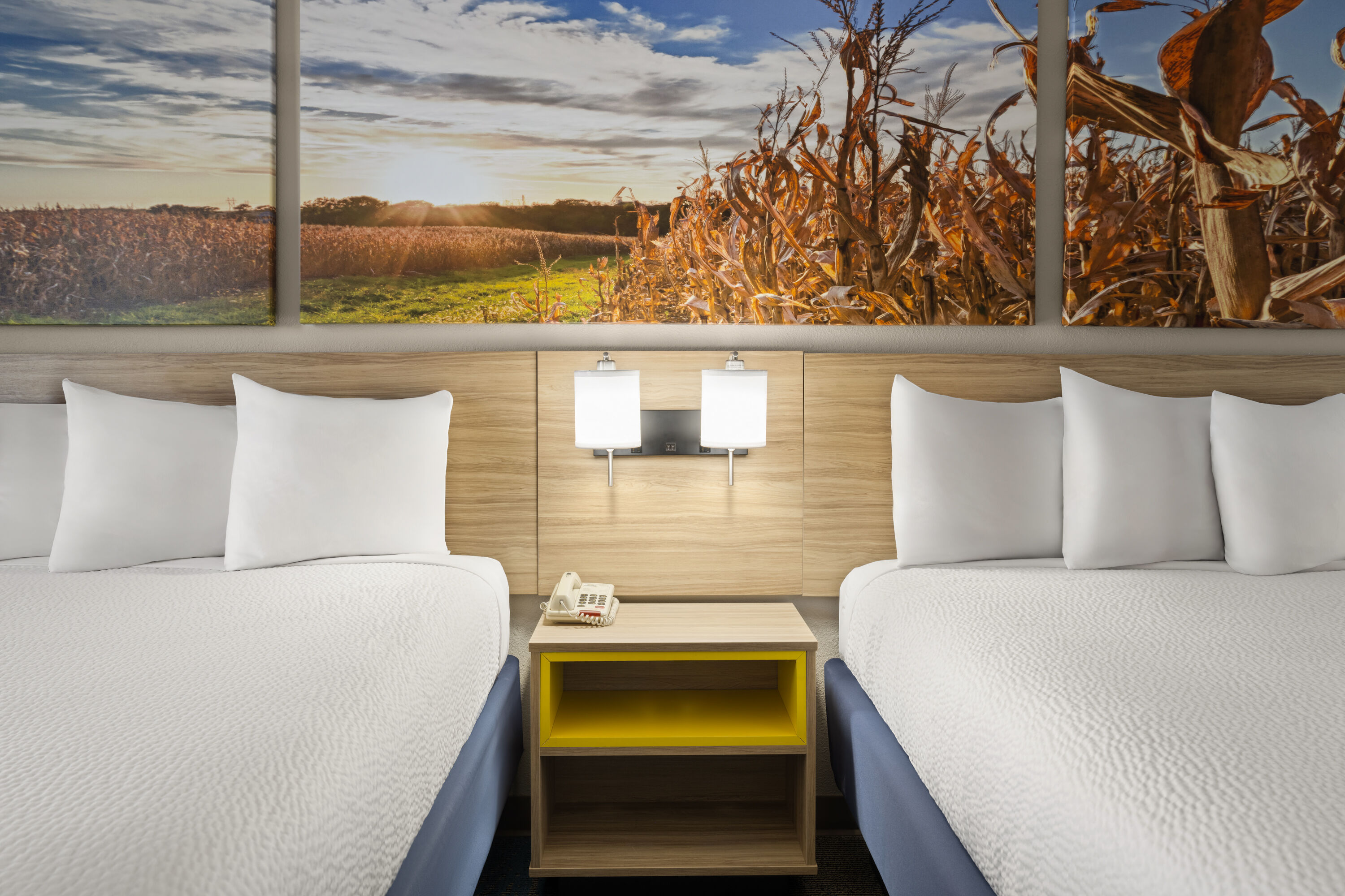 Guest room at the Days Inn by Wyndham Jamestown in Jamestown, North Dakota