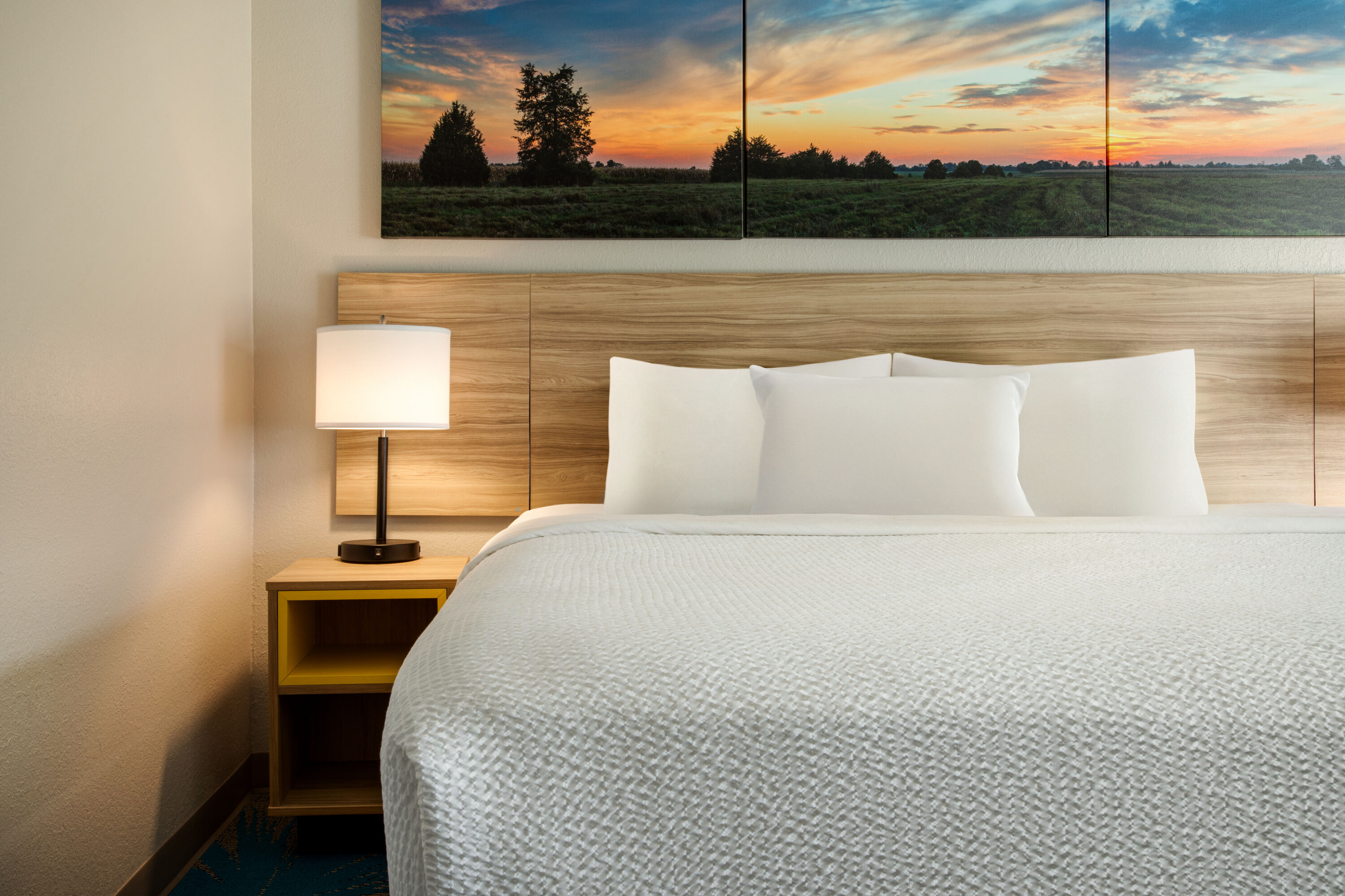 Guest room at the Days Inn by Wyndham Grand Island I-80 in Grand Island, Nebraska