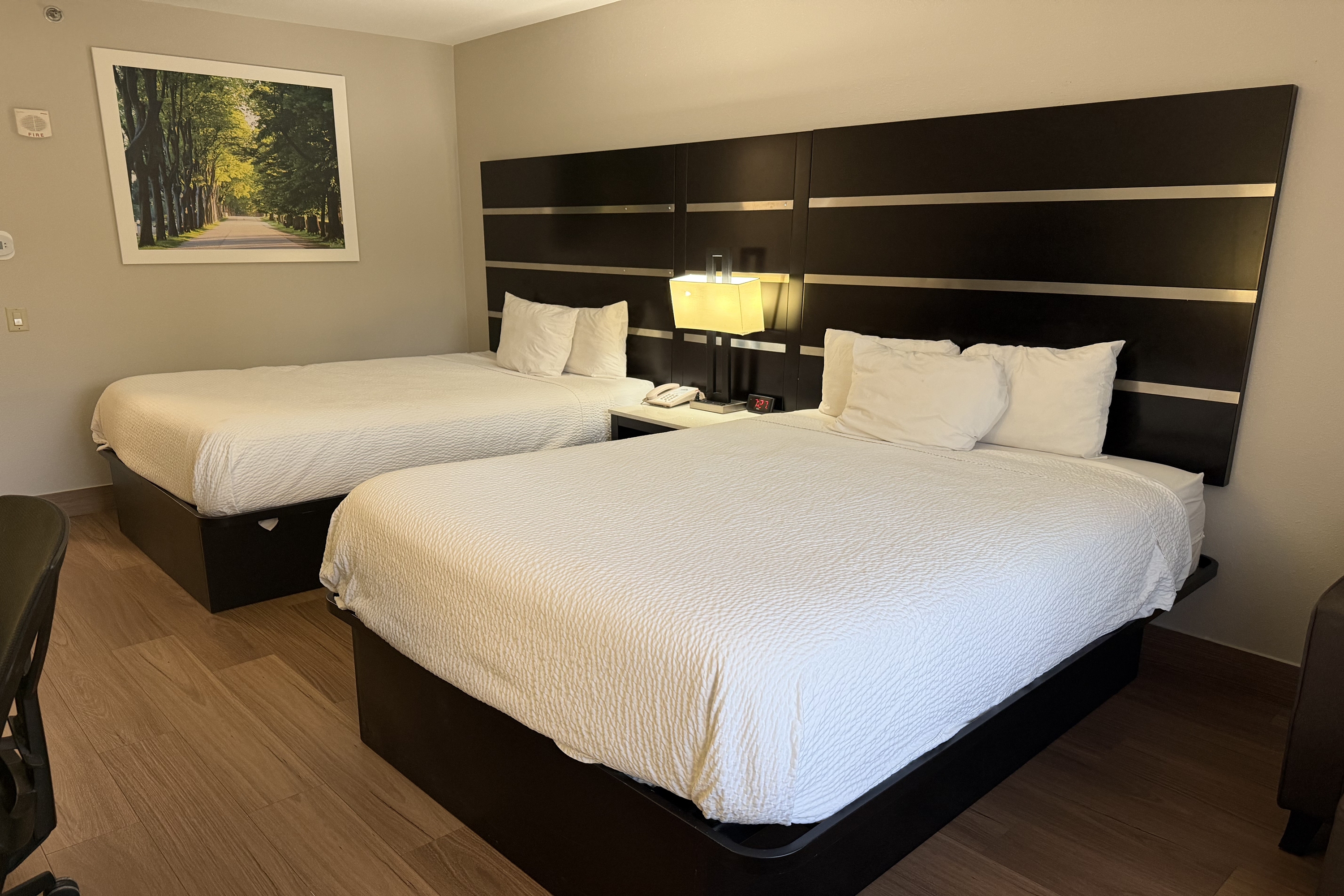 Guest room at the Days Inn by Wyndham Budd Lake in Budd Lake, New Jersey