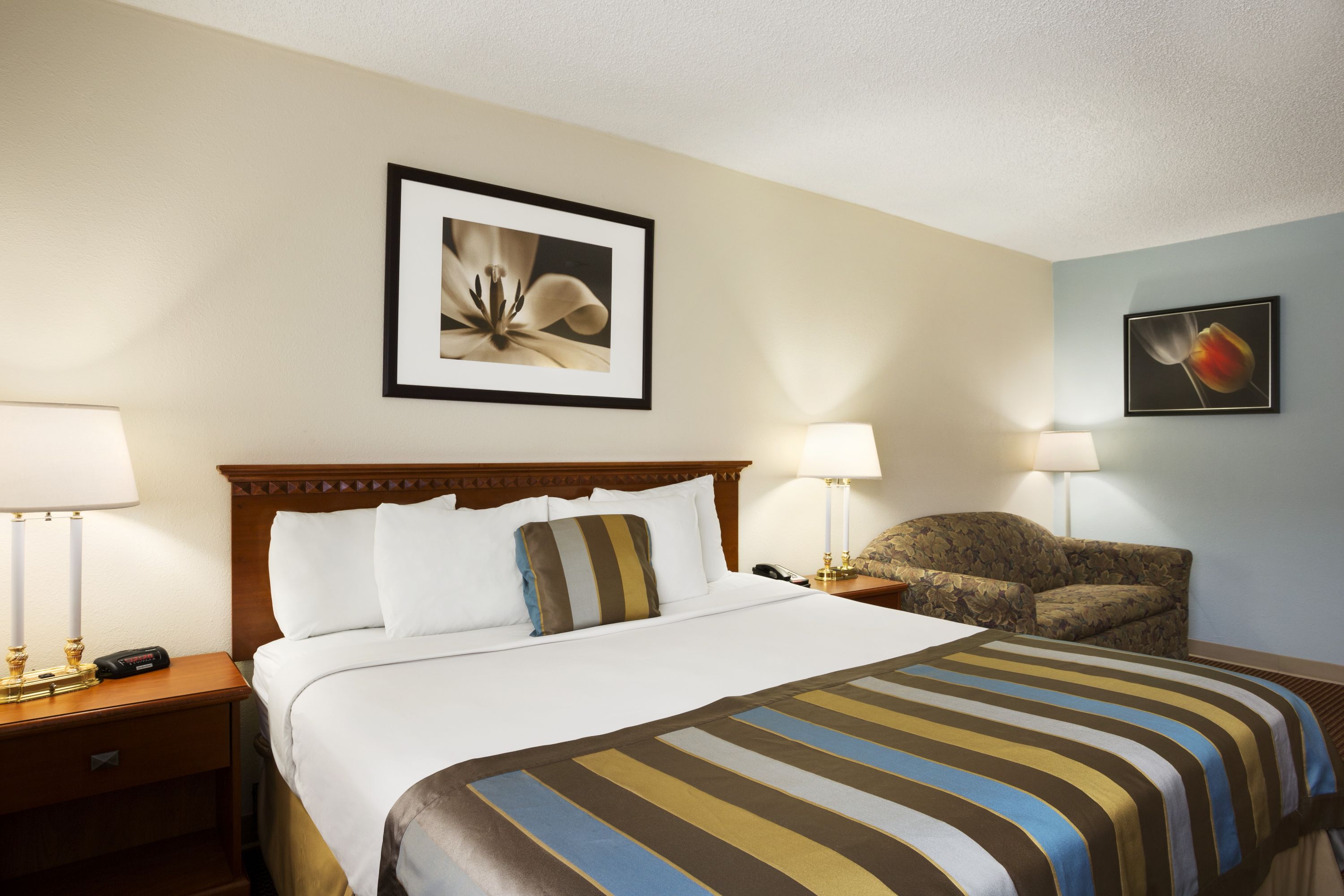 Guest room at the Days Inn by Wyndham Middletown in Middletown, Ohio