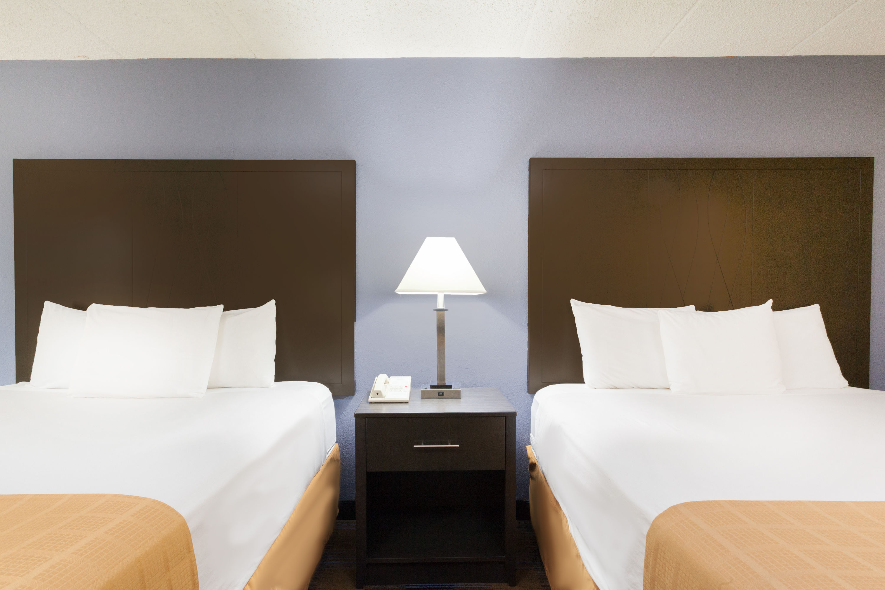 Days Inn by Wyndham Wilkes Barre | Wilkes Barre, PA Hotels