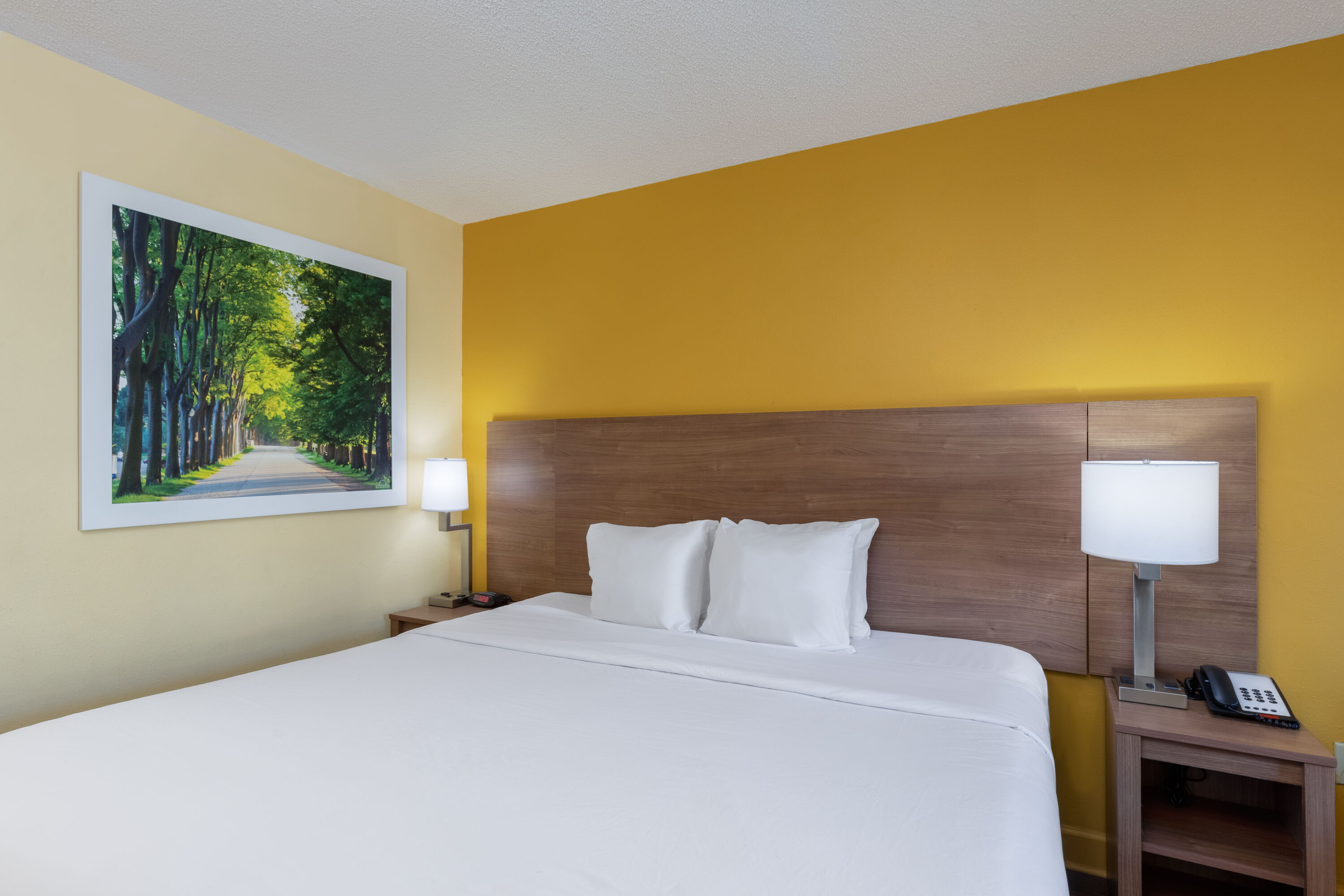 King bed guest room at the Days Inn by Wyndham Florence/I-95 North in Florence, South Carolina