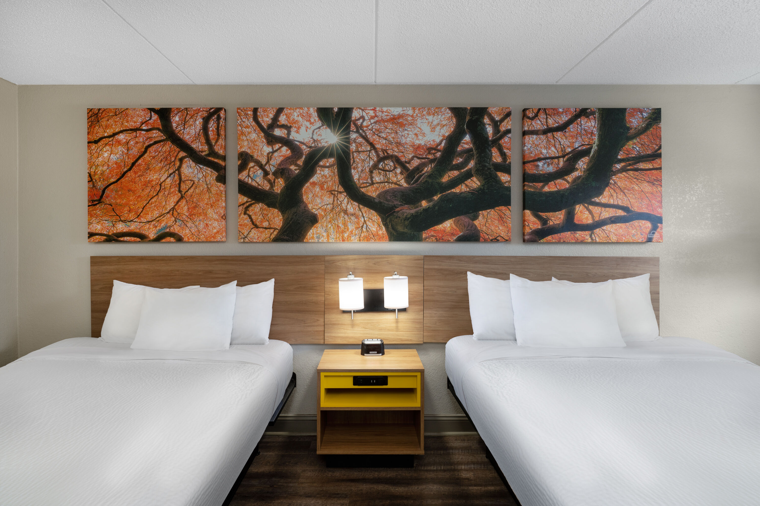 Guest room at the Days Inn by Wyndham Greeneville in Greeneville, Tennessee