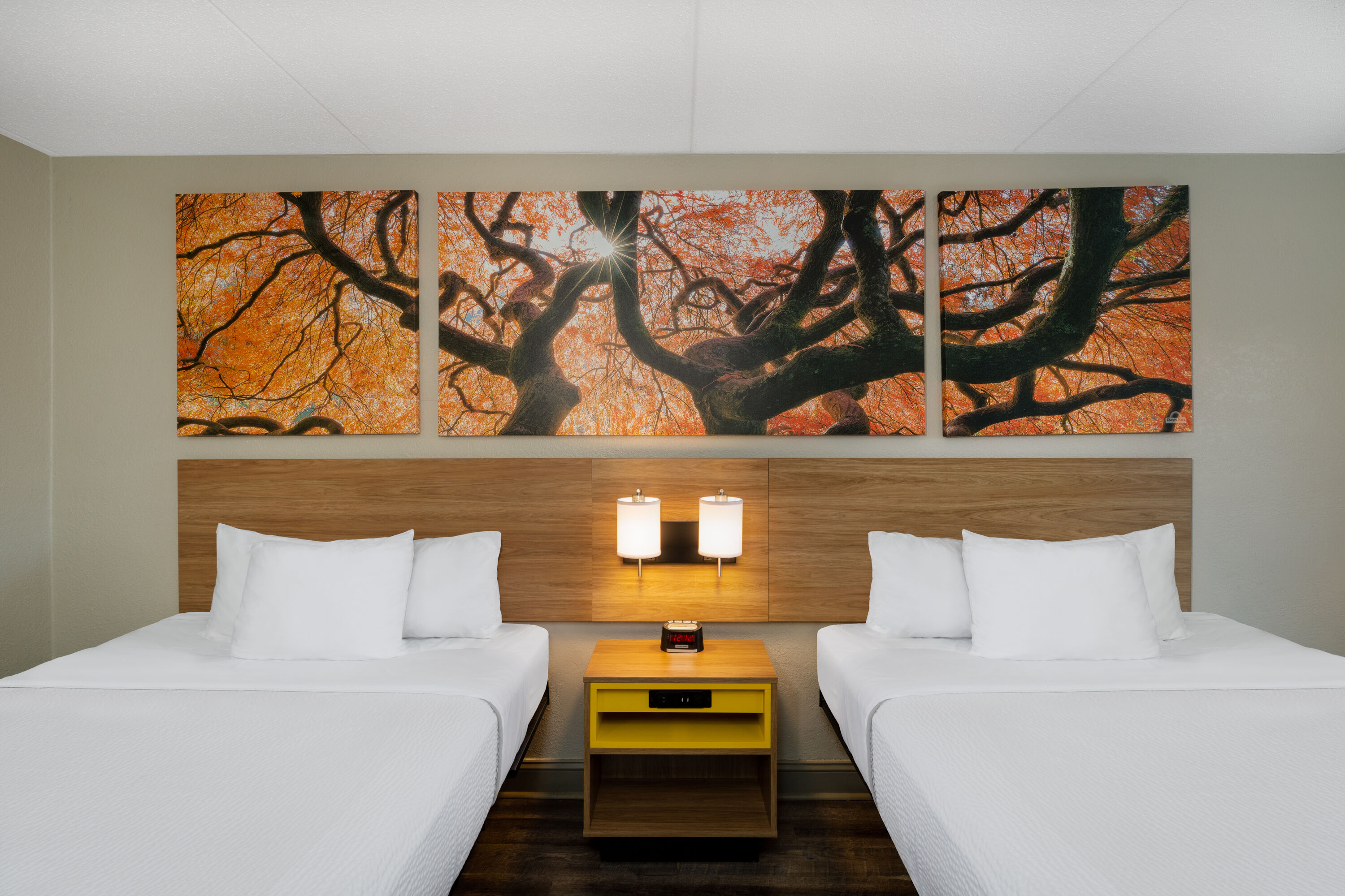 Guest room at the Days Inn by Wyndham Greeneville in Greeneville, Tennessee